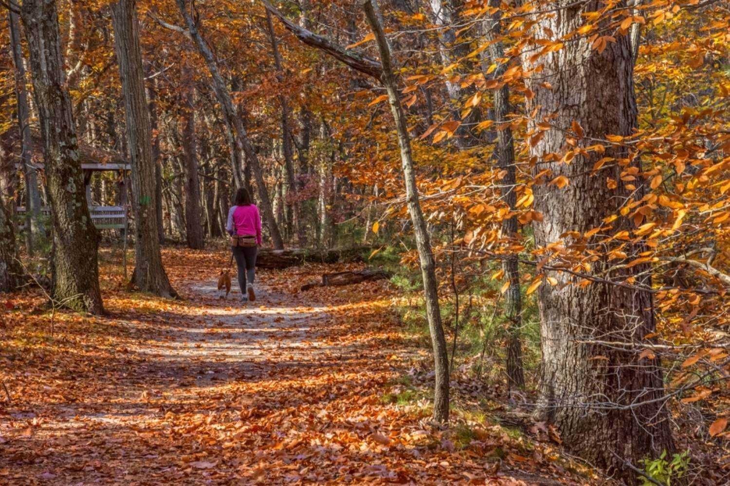 Newark Woman Walking Dog on Trail