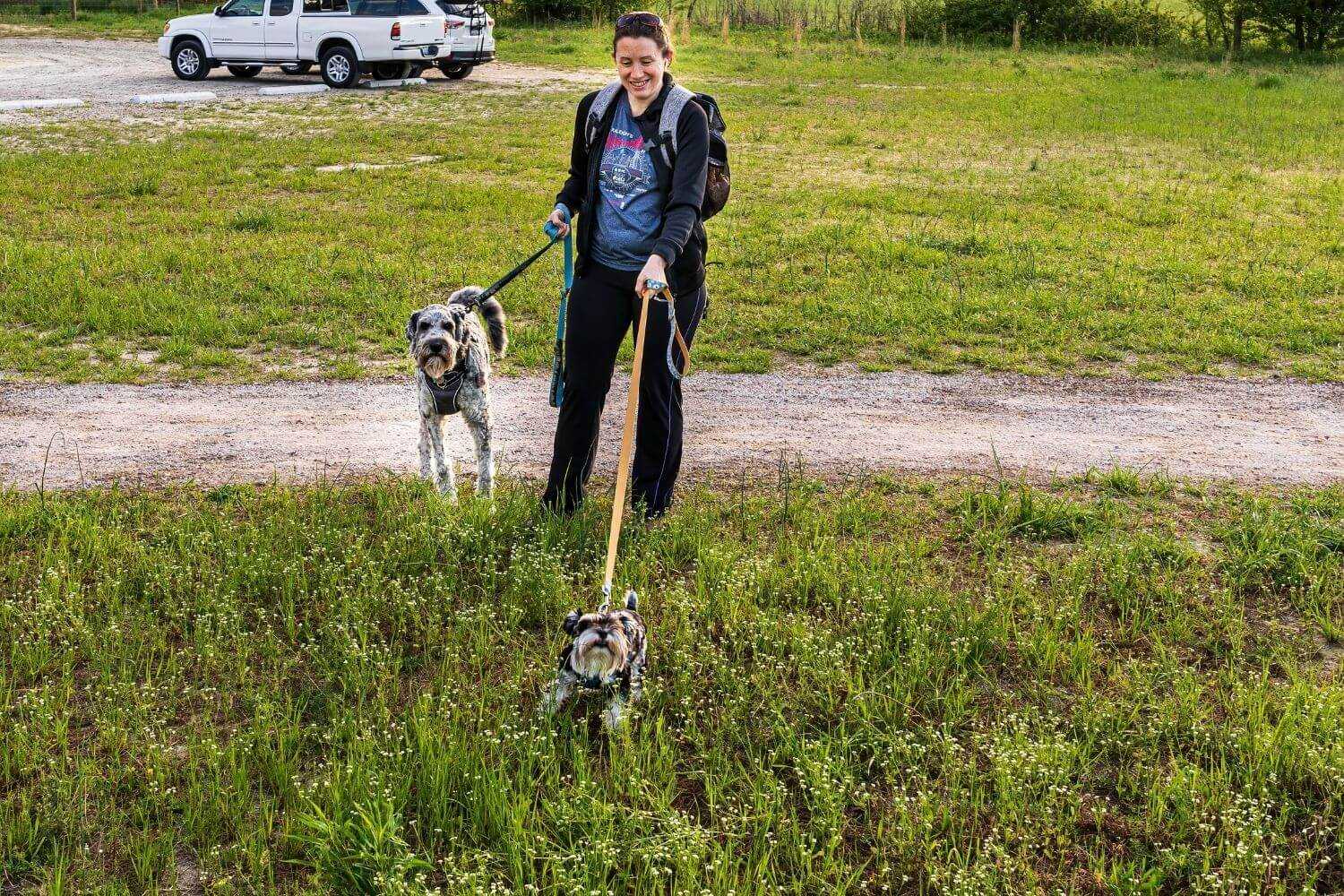 Raleigh Dog Parks small and large dog