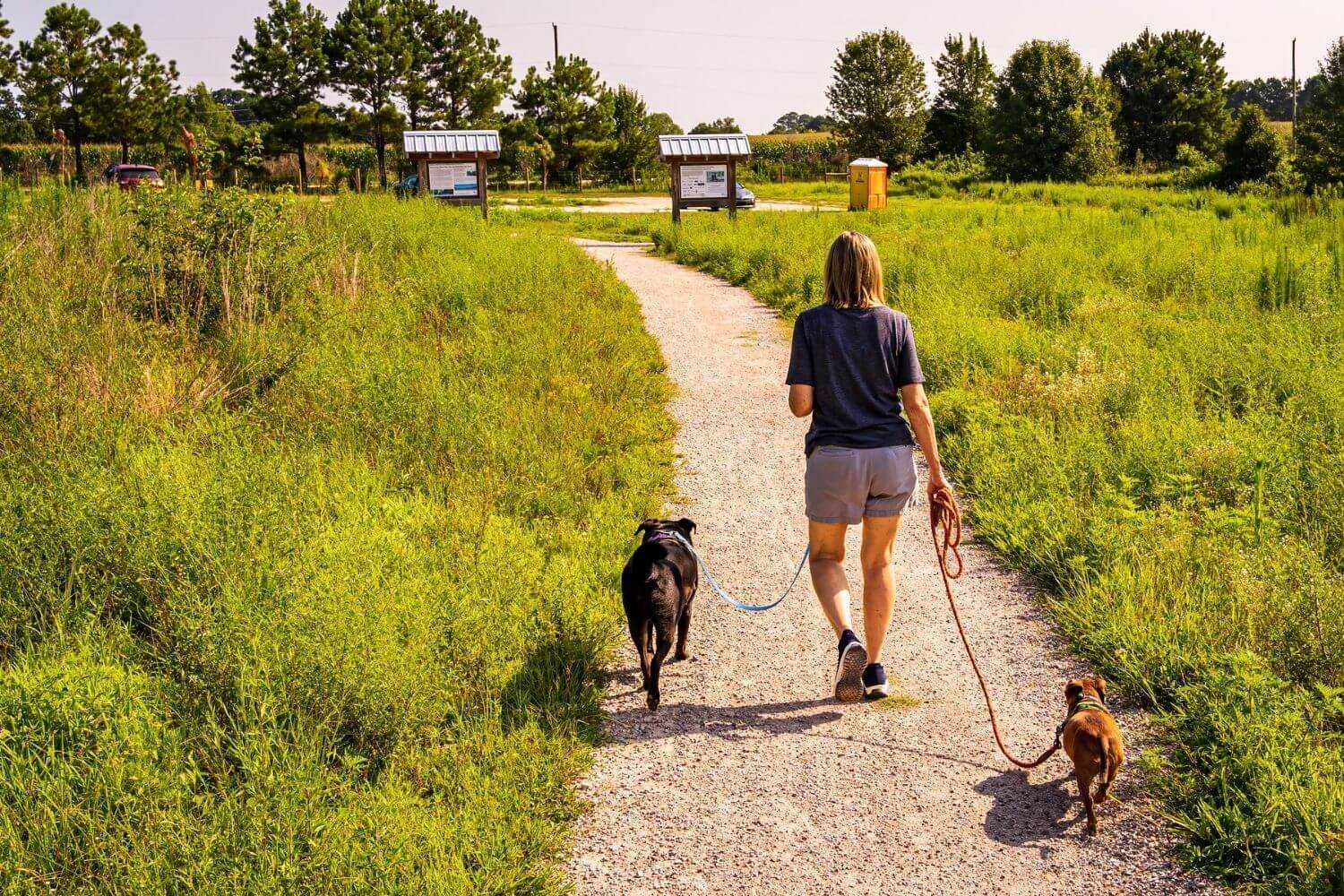 Raleigh Dog Parks Nature Area