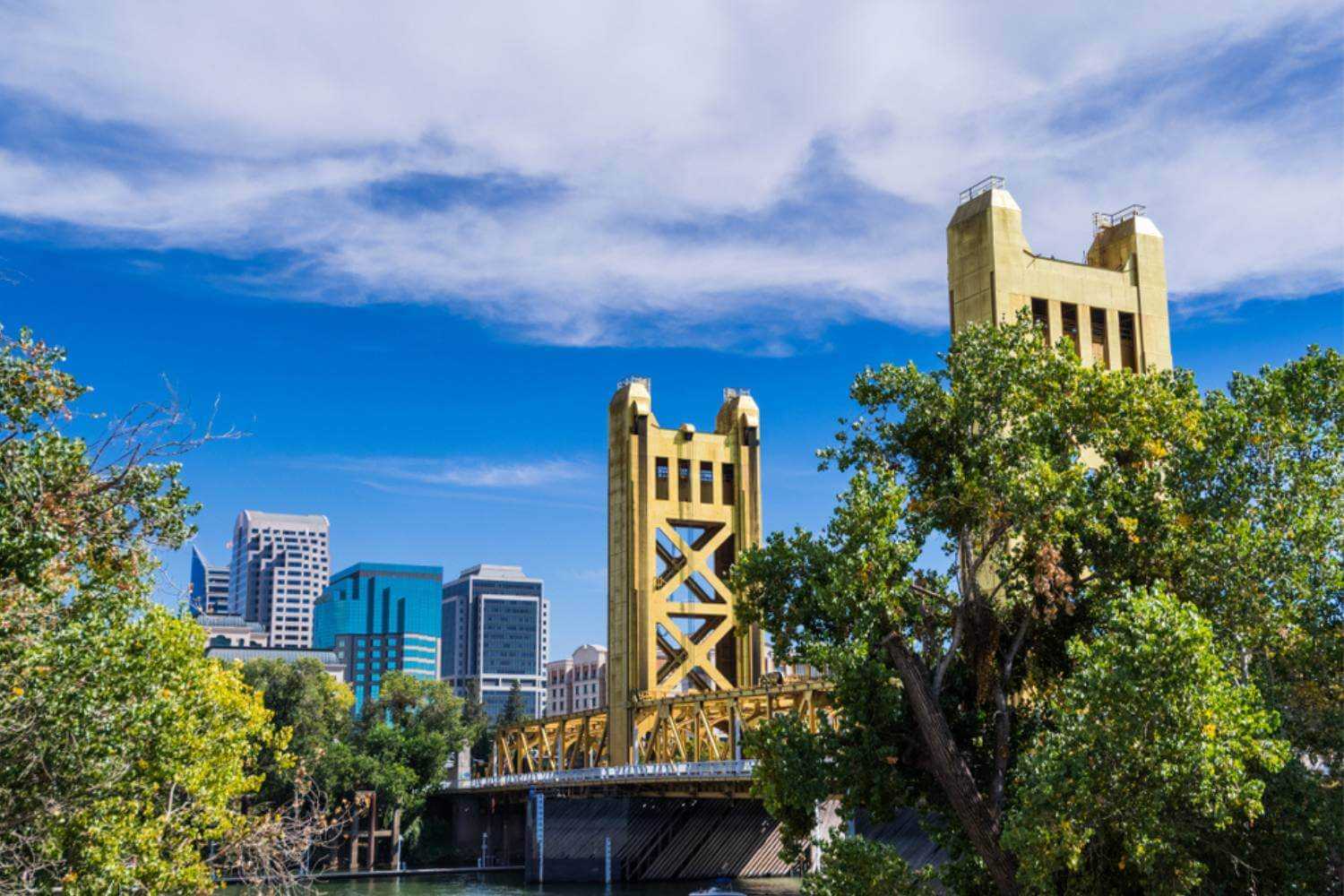 Sacramento Skyline in Summer