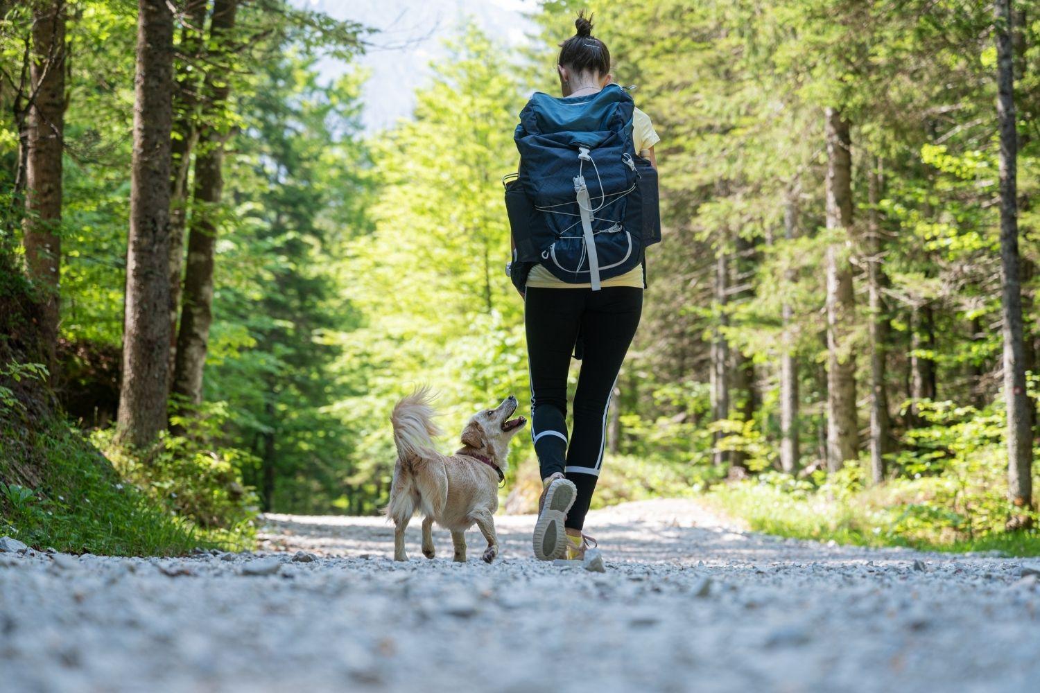 Hiking with dog