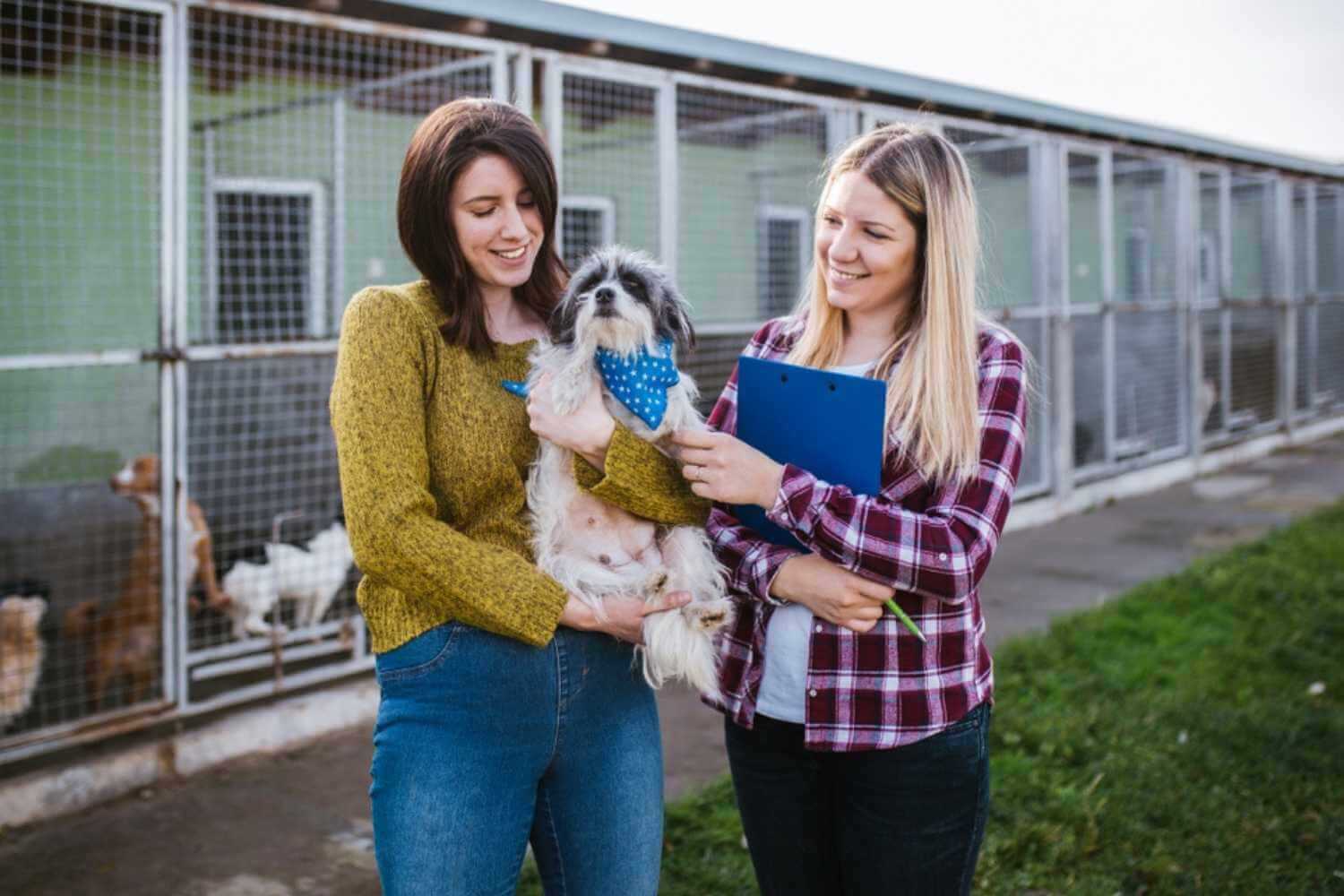 San Diego Animal Shelter