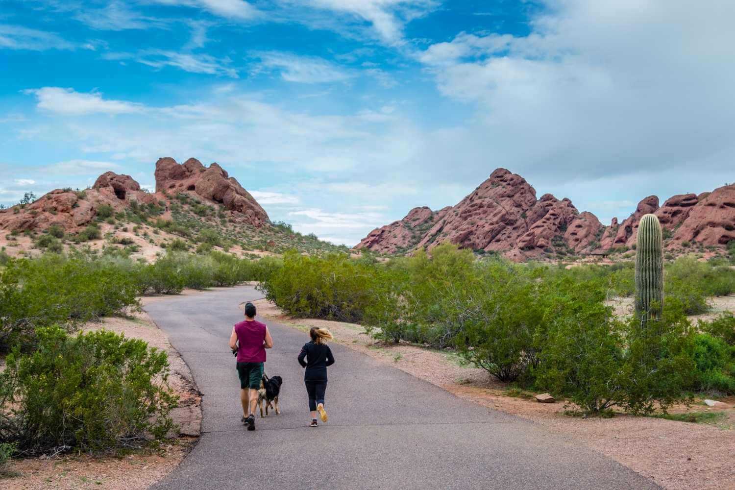 Scottsdale AZ Family Walking Dog