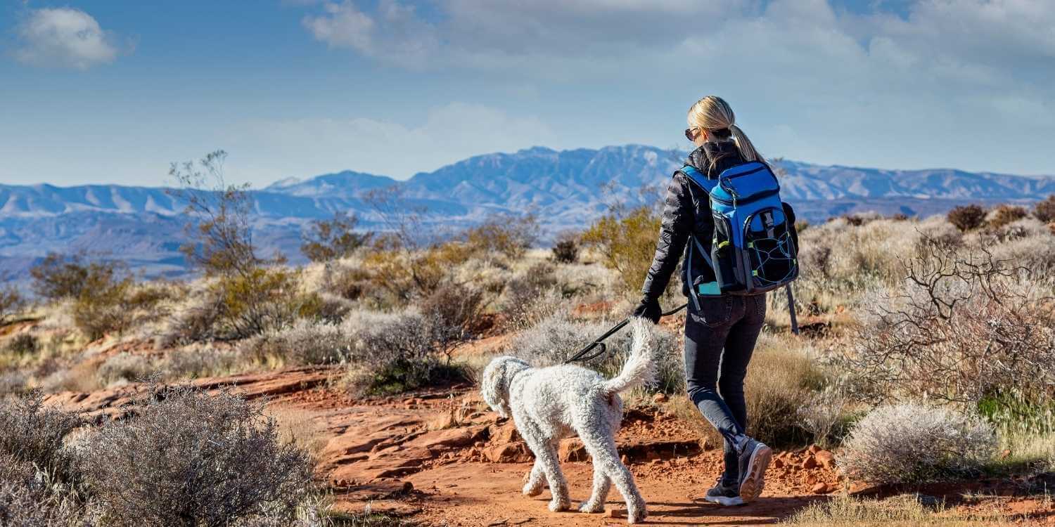 Ready for some fun in the sun? Check our Local Pet Care's top Parks, Dog Parks, and Off-Leash Areas in Scottsdale, AZ!