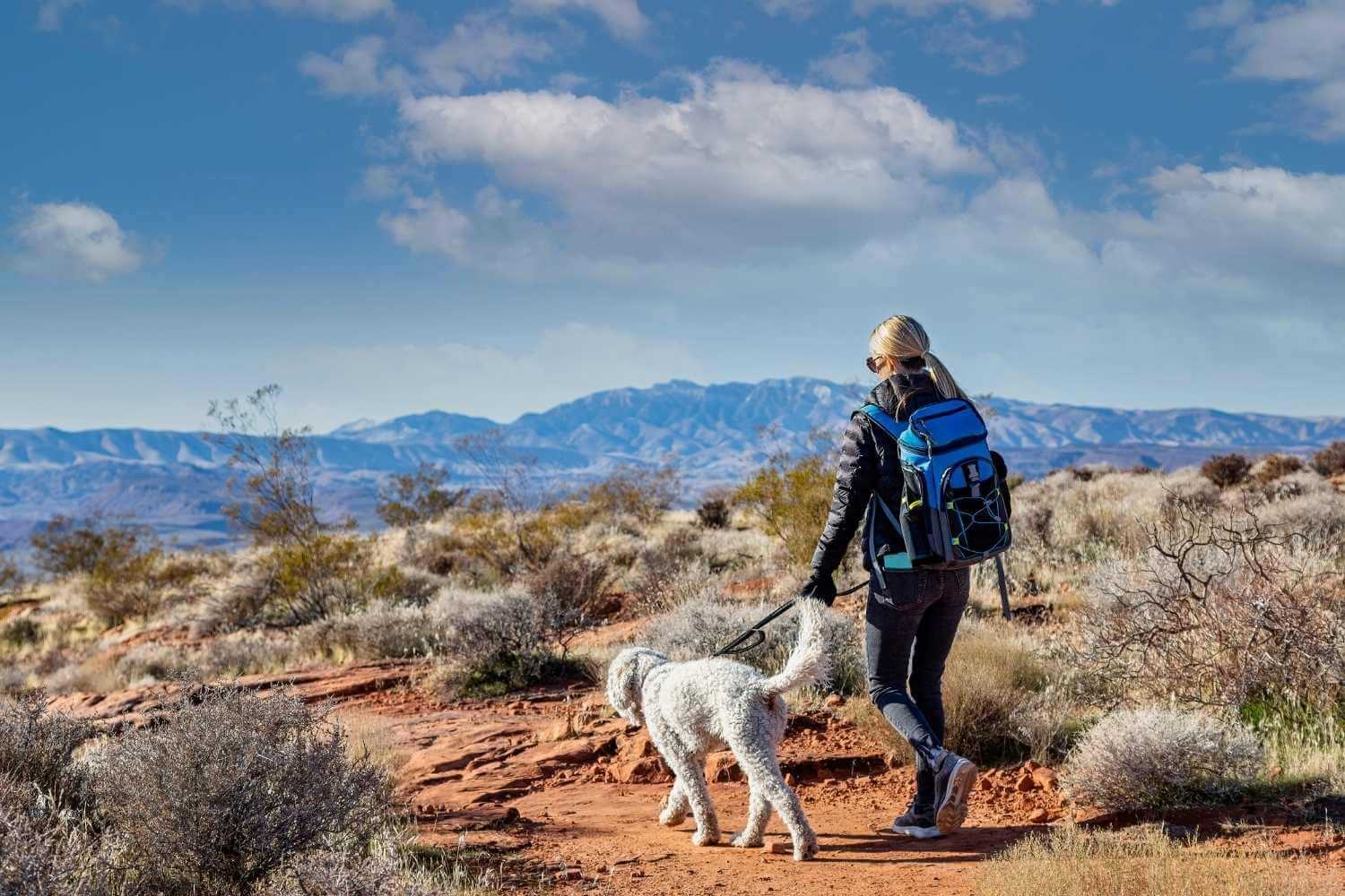 Scottsdale AZ Woman Walking Dog In Desert