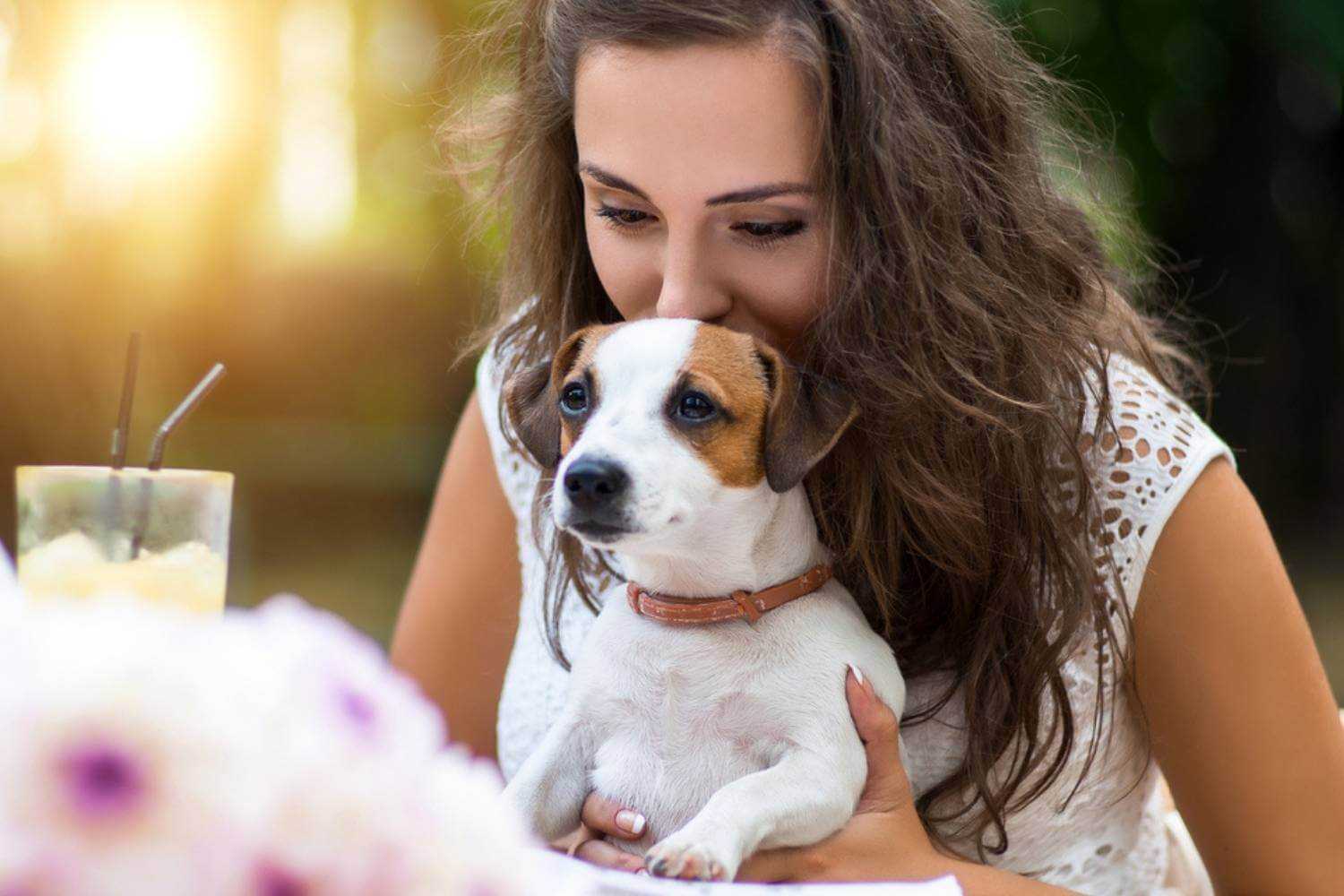 Tallahassee Dog With Woman at Dinner