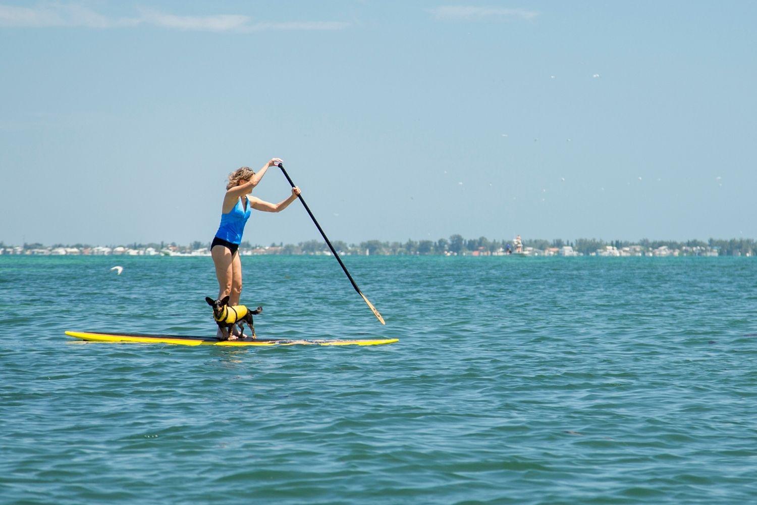 SUP with dog in ocean