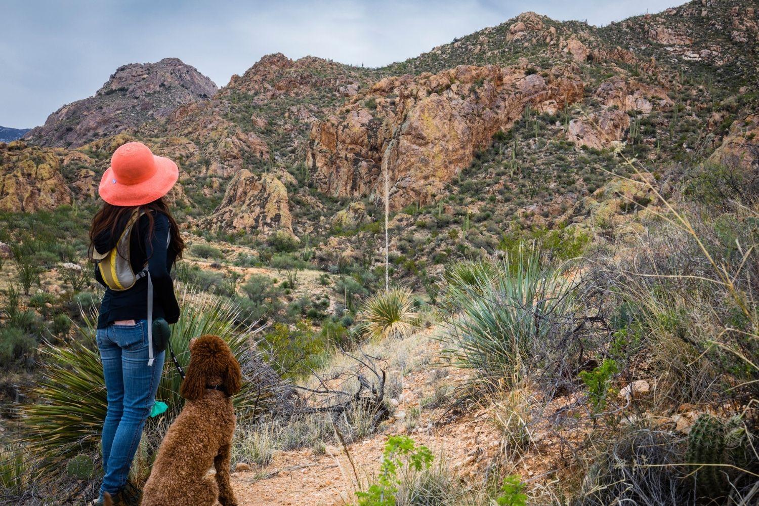 Dog Hike