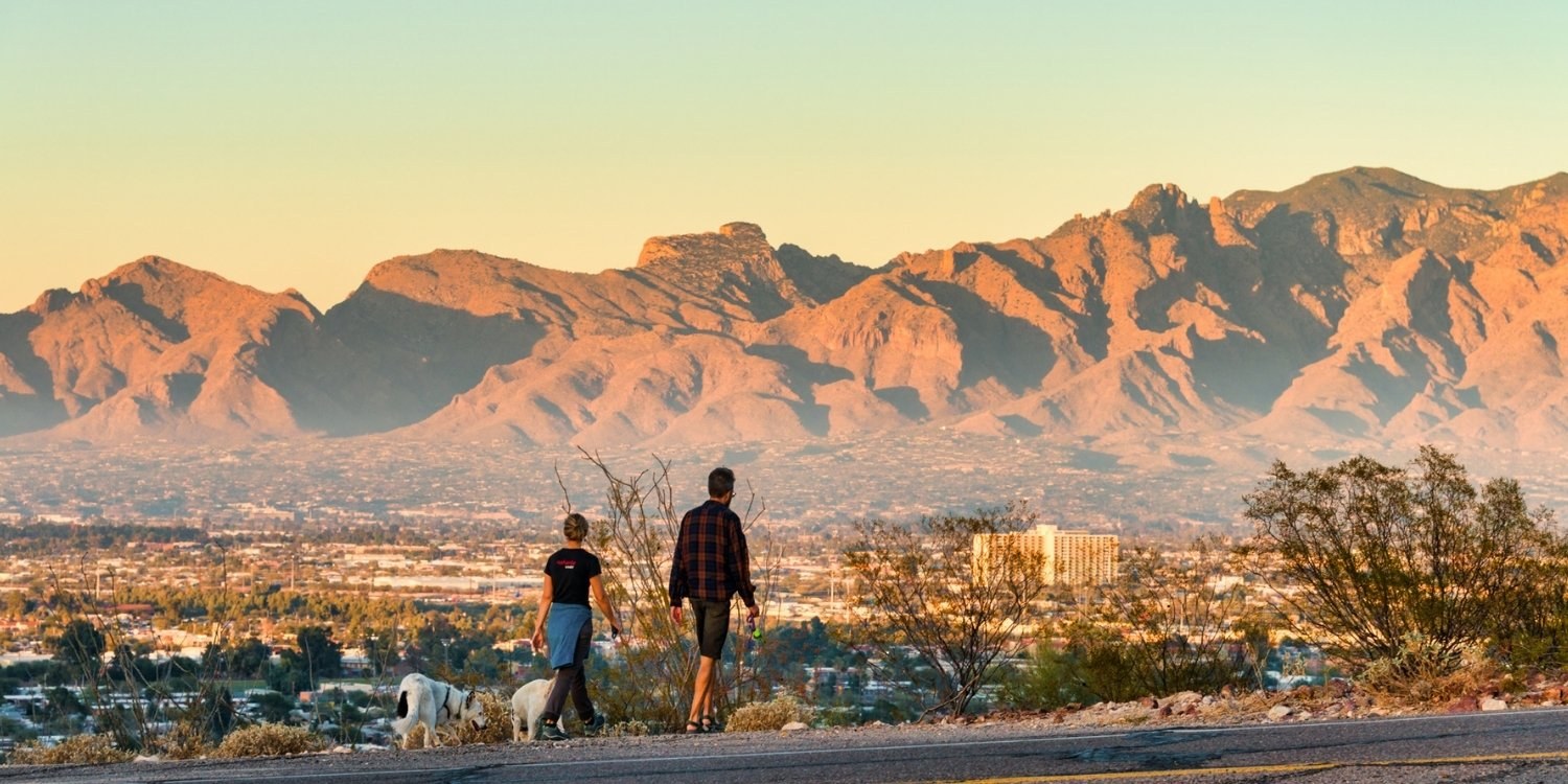 Enjoy some outdoor time with your dog at any one of these 11 awesome dog parks or off-leash areas in Tucson. Check out our list and get ready to run wild!