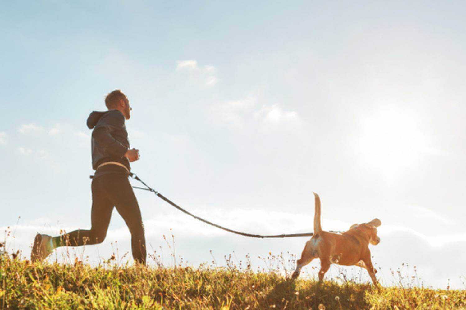 Virginia Beach Dog Running with Owner