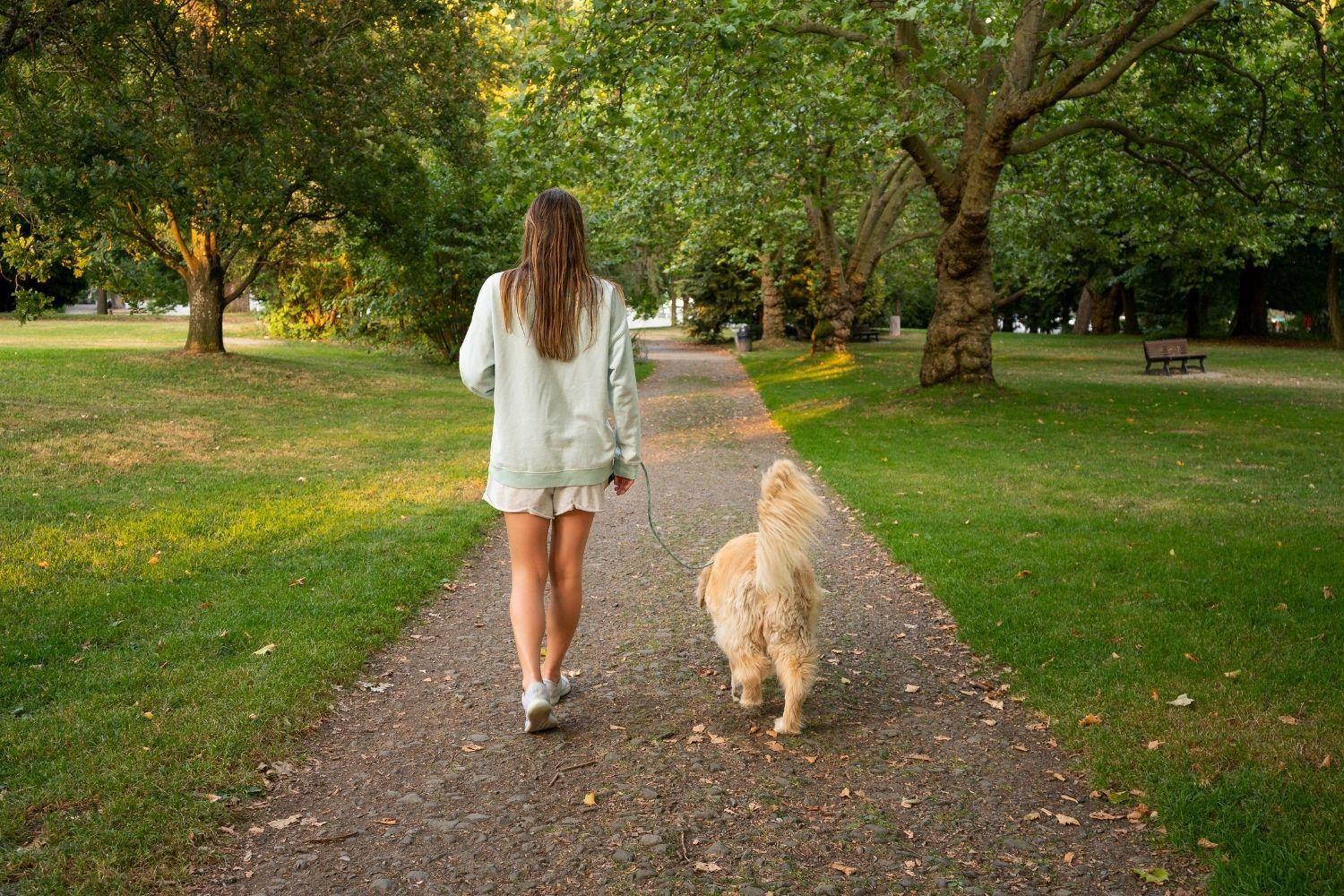 Woman walking dog in park