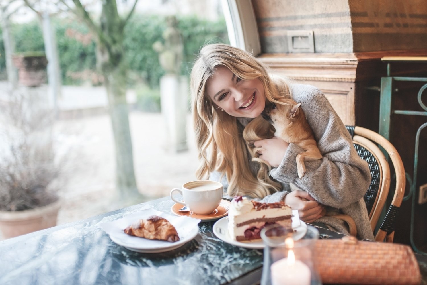 Dog at breakfast