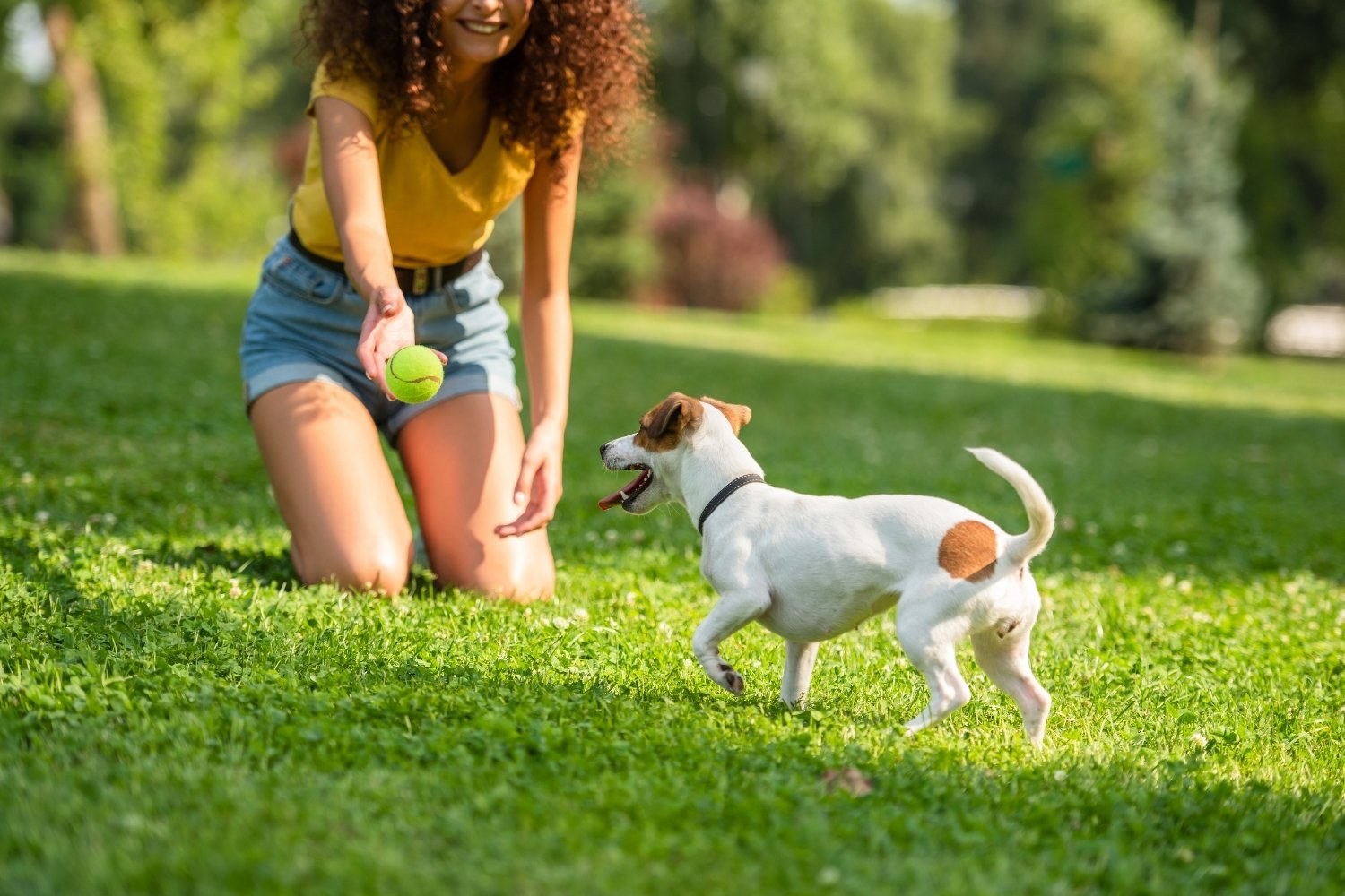 Playing fetch with small dog