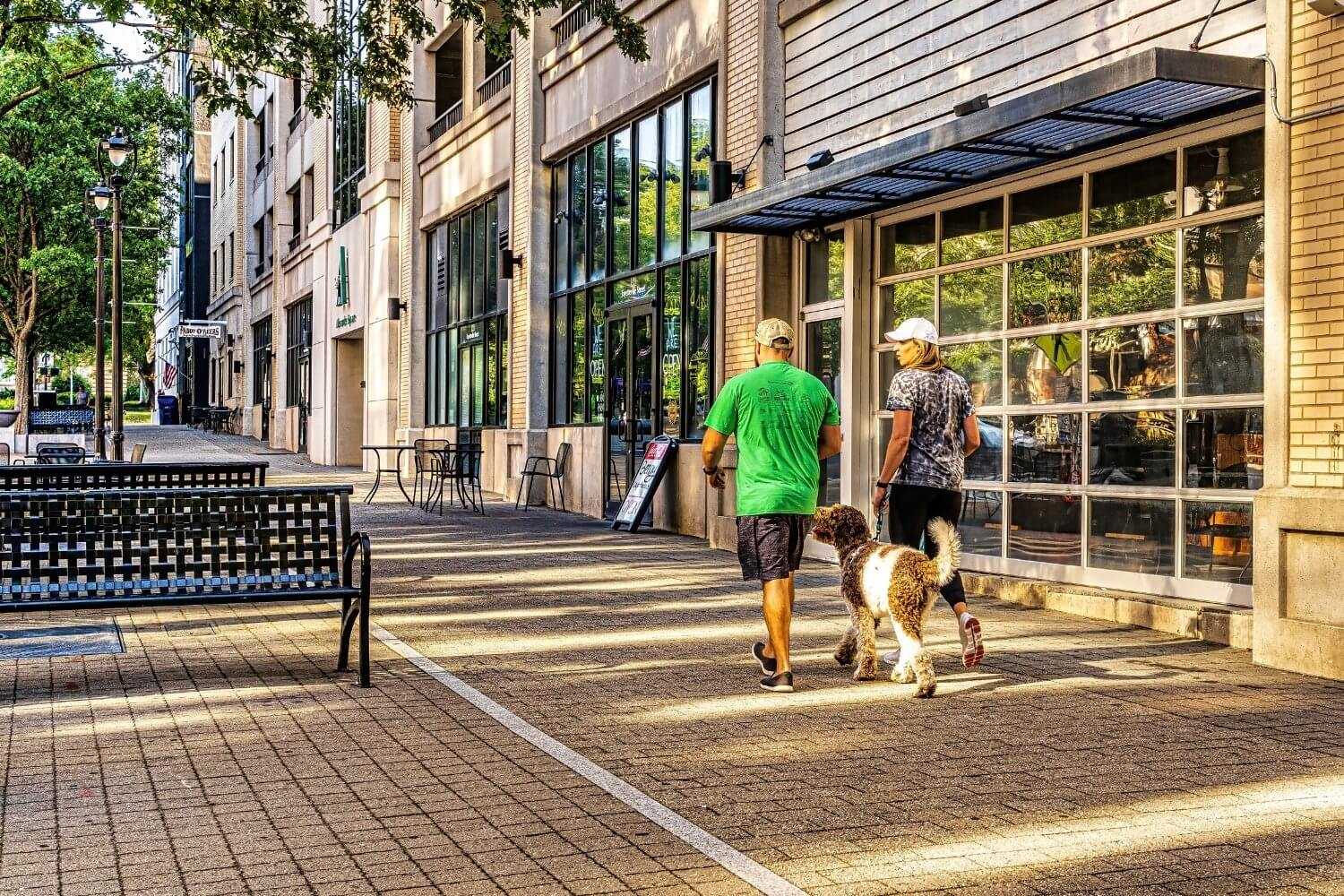 Raleigh dog walk