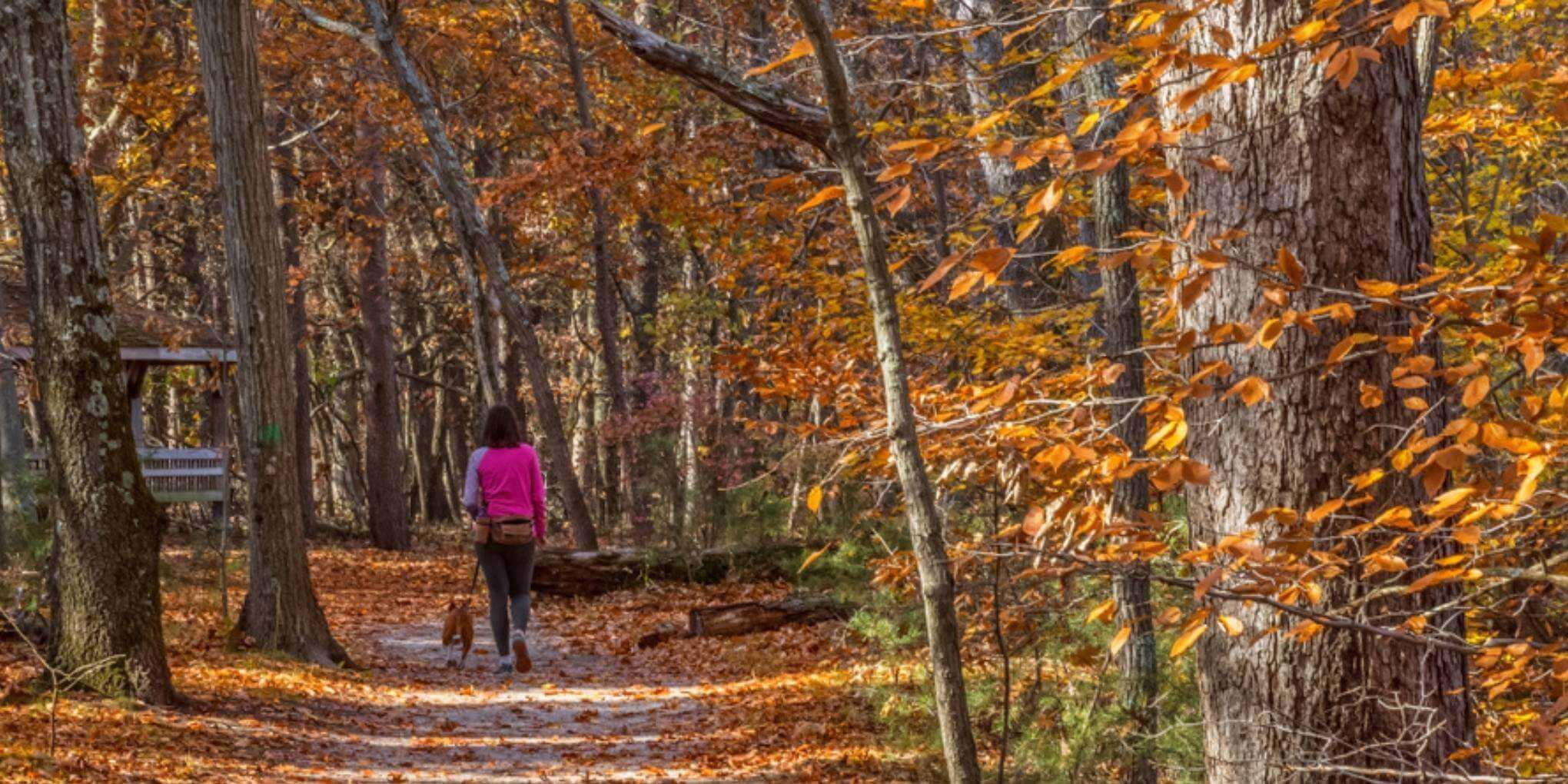 Enjoy some outdoor time with your pup at any one of these awesome dog parks or off-leash areas in Newark, NJ!