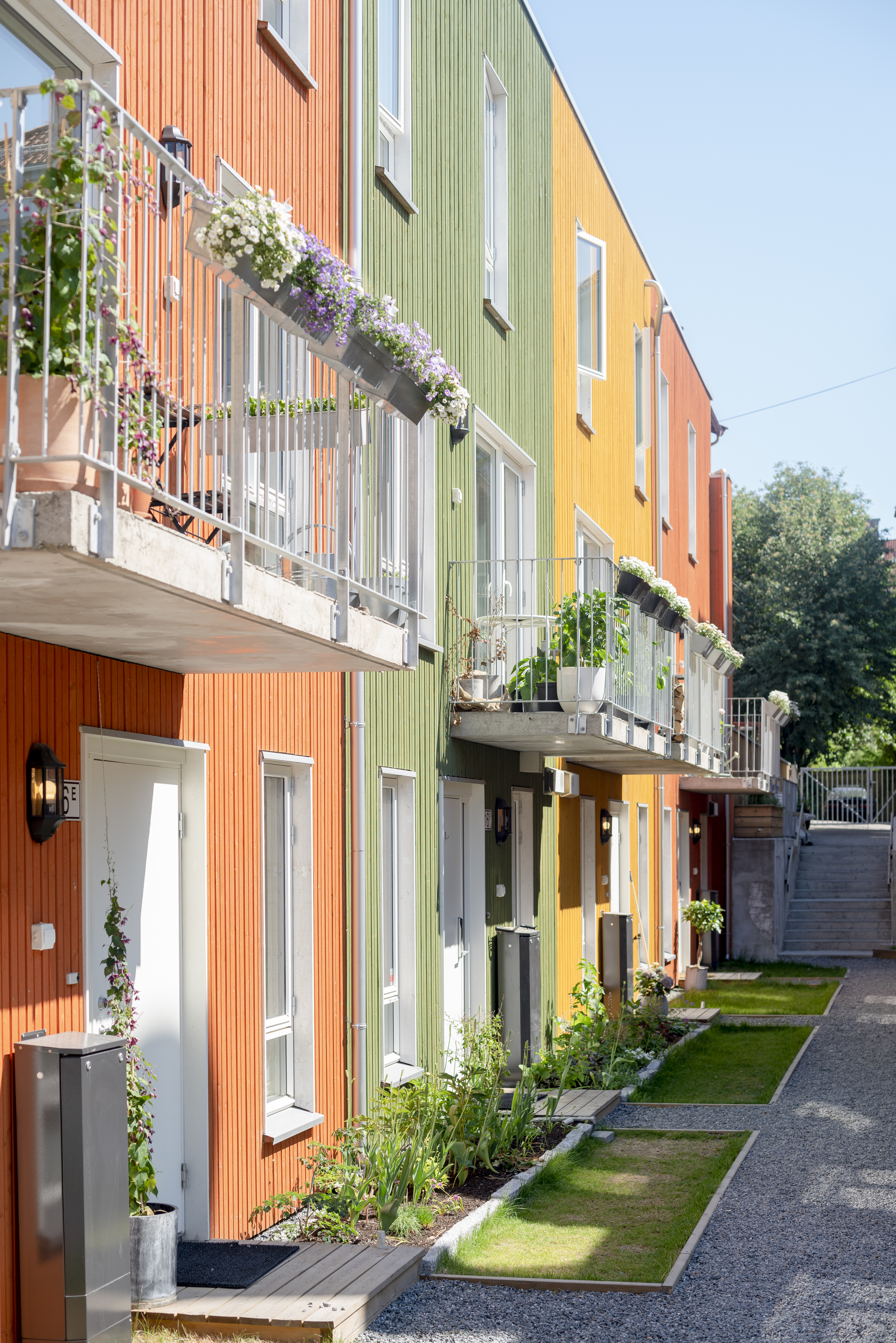 Foto av fargerike rekkehusfasader med balkonger og beplantning foran.