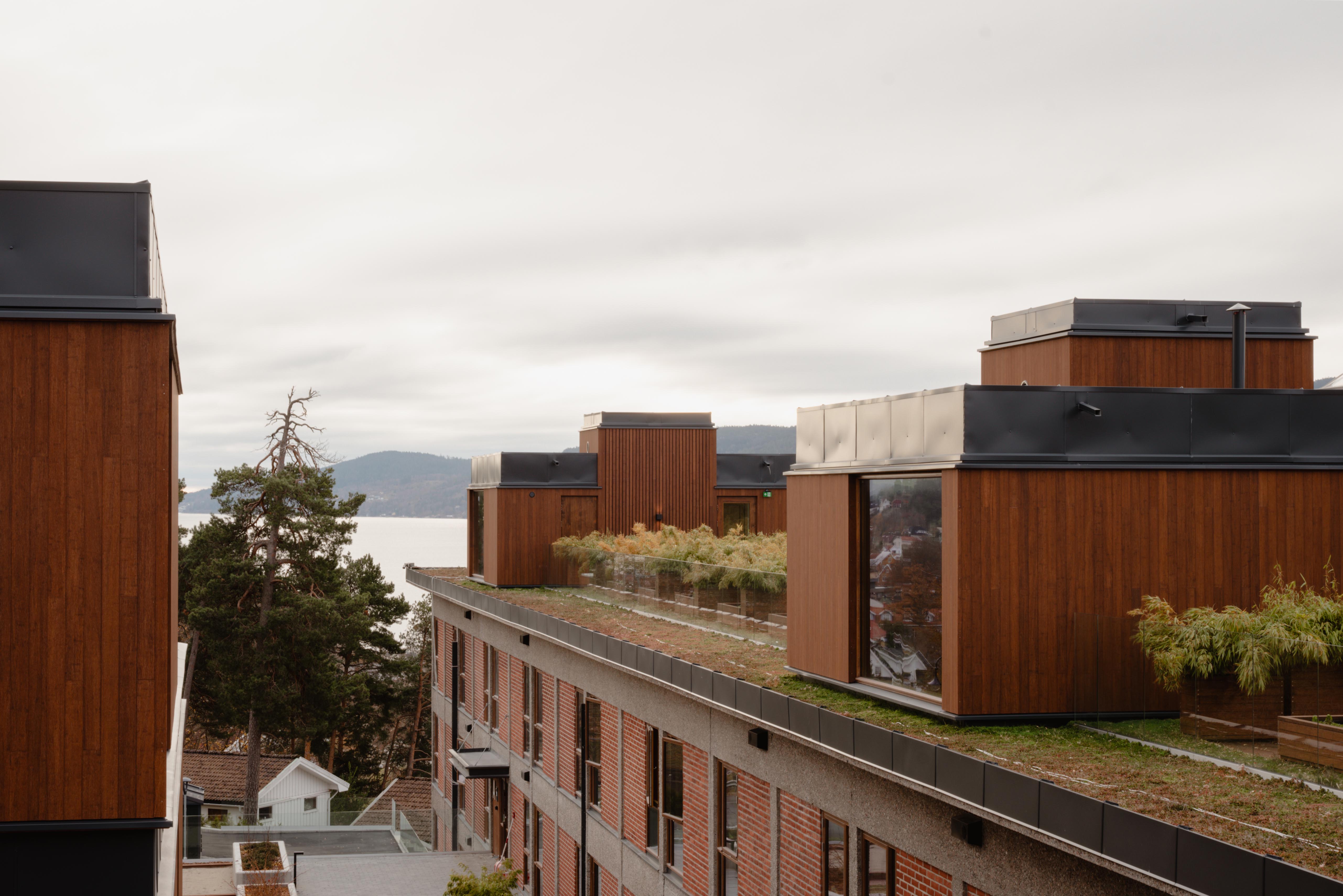 Boligbygg med mørke trepaneler og grønne takterrasser med utsikt mot fjord og skogkledde åser under overskyet himmel.