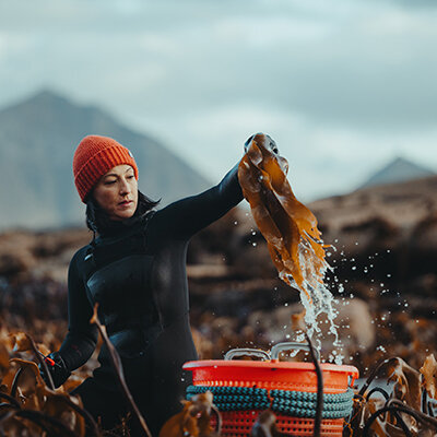 Foto av en kvinne i dykkerdrakt og rød lue som står ute i havet mens hun drar tang opp fra bunnen.