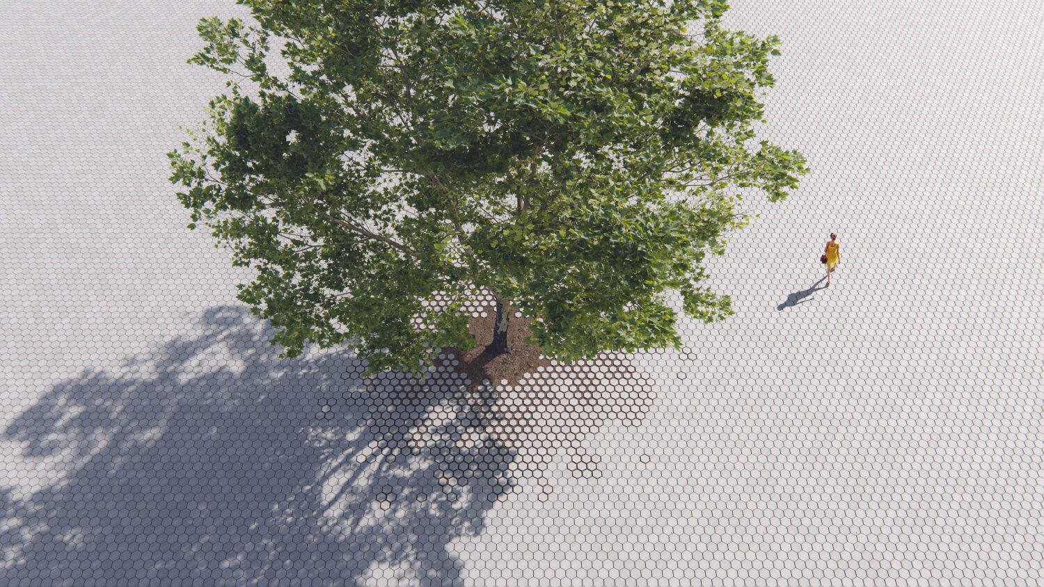 Fra fugleperspektiv: en kvinne vandrer over en hellelagt plass med et stort tre. Mot treets stamme er hellene mindre, med større avstand mellom.