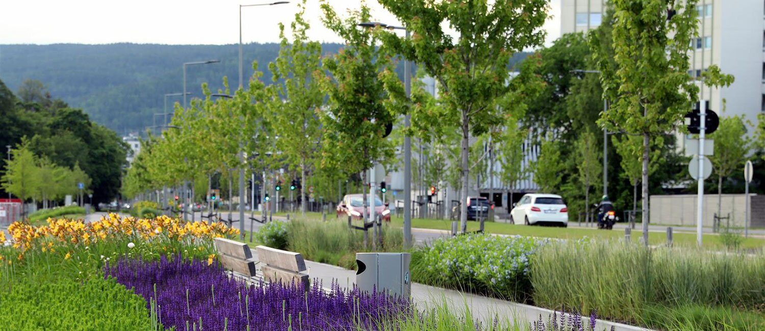Bildet viser frodig beplantning, sittebenker langs en gangvei og en bilvei i bakgrunnen.