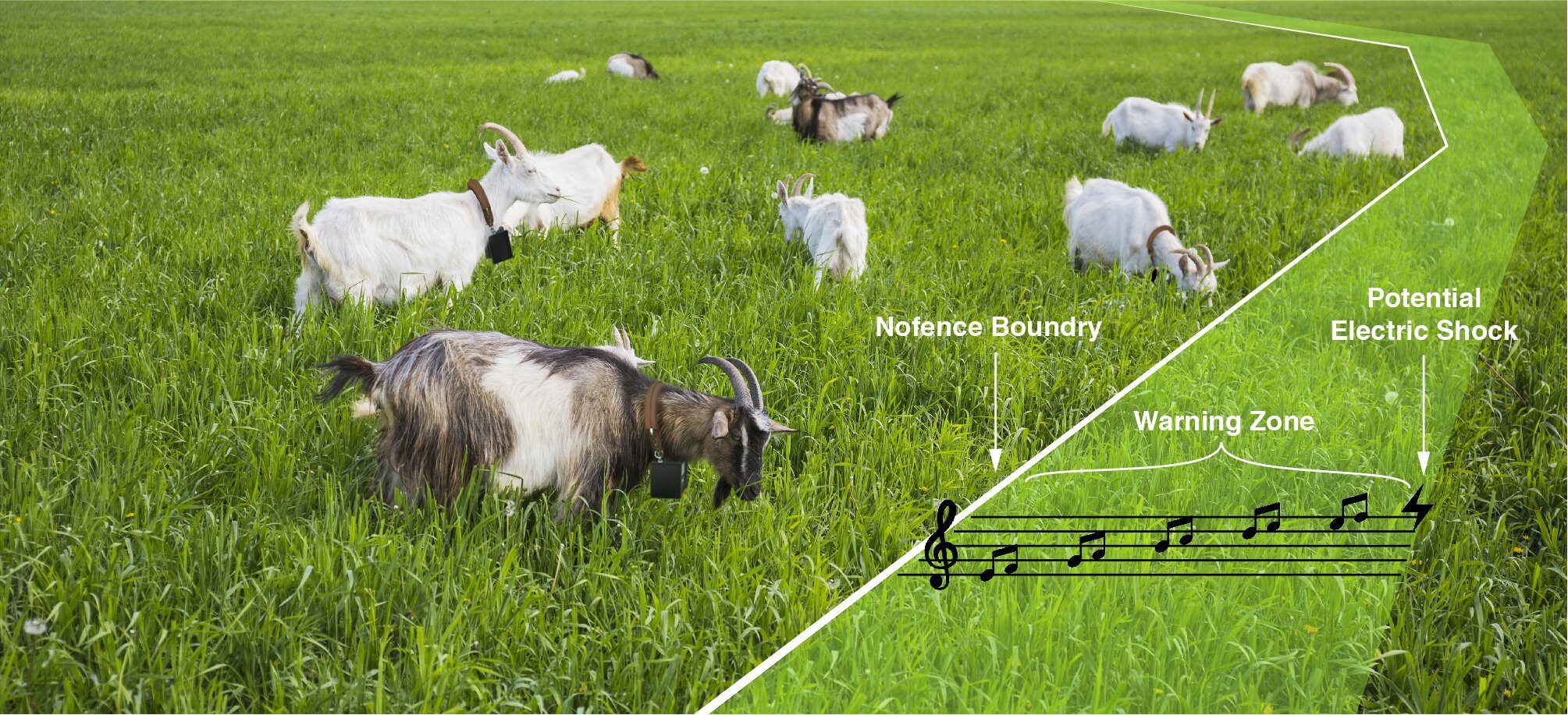 Et bilde av gressende geiter på et frodig jorde. Oppå bildet er det illustrert en linje som viser omrisset av et virtuelt gjerde. Musikknoter indikerer en "advarselssone" før området avsluttes med et lynsymbol for å indikere et mulig elektrisk støt.