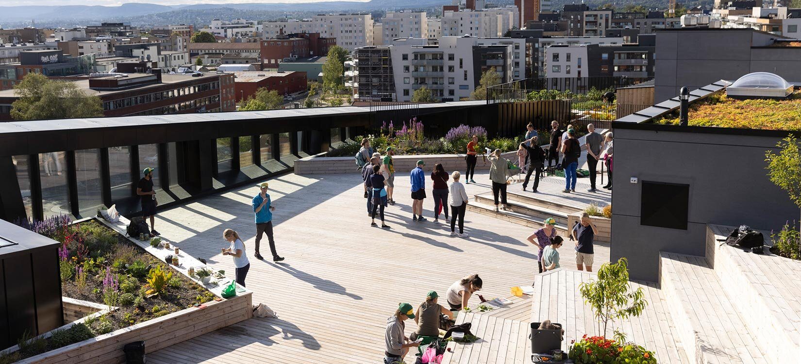 En sosial sone med sitteamfi, platting og opbygde plantebed. Mennesker sitter og står rundt på området.