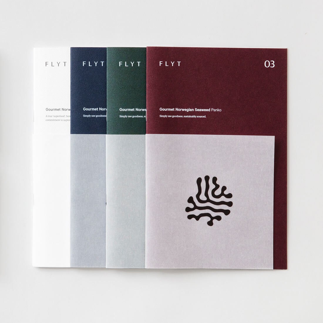 Bildet viser brosjyrer for Flyt som er lagt ved siden av hverandre, overlappende