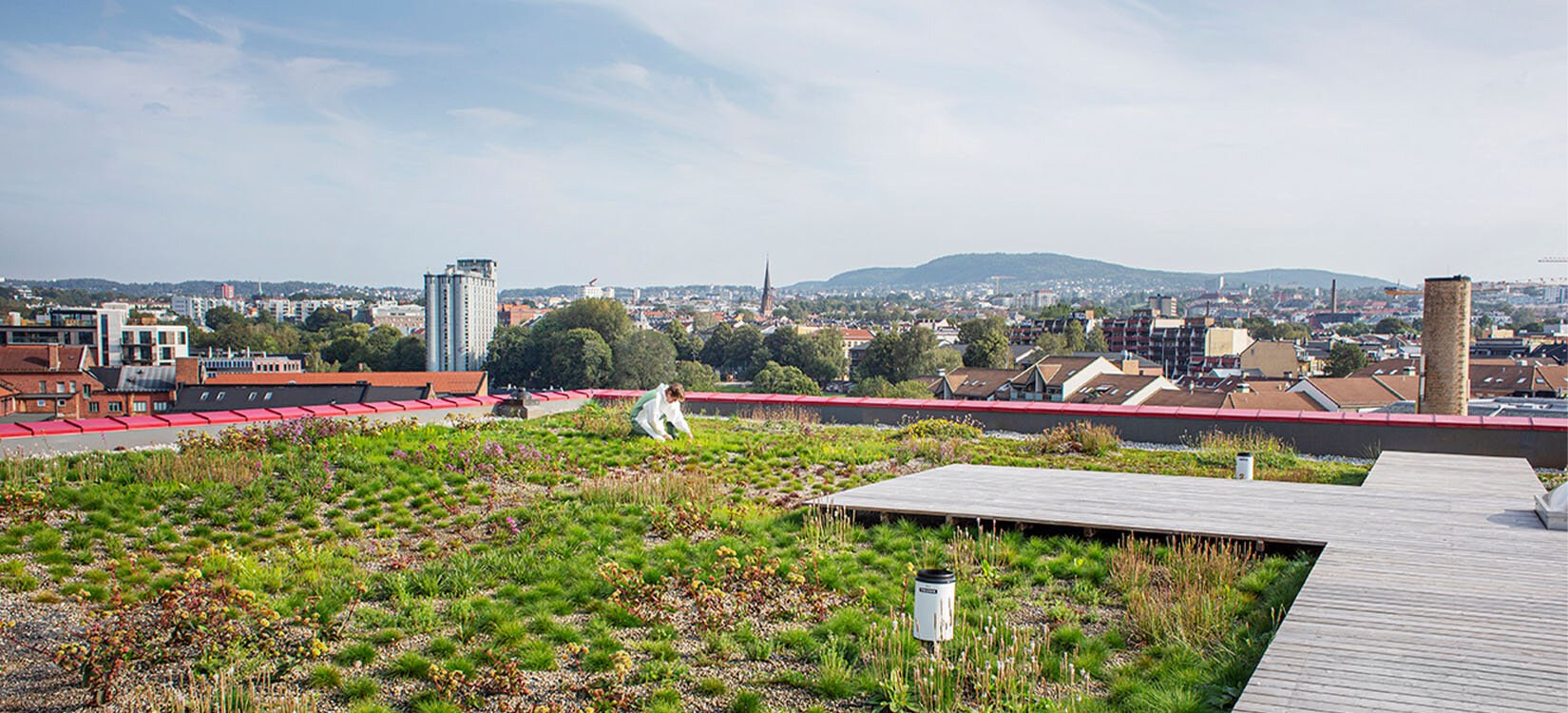 Grønt tak på Vega Scene.