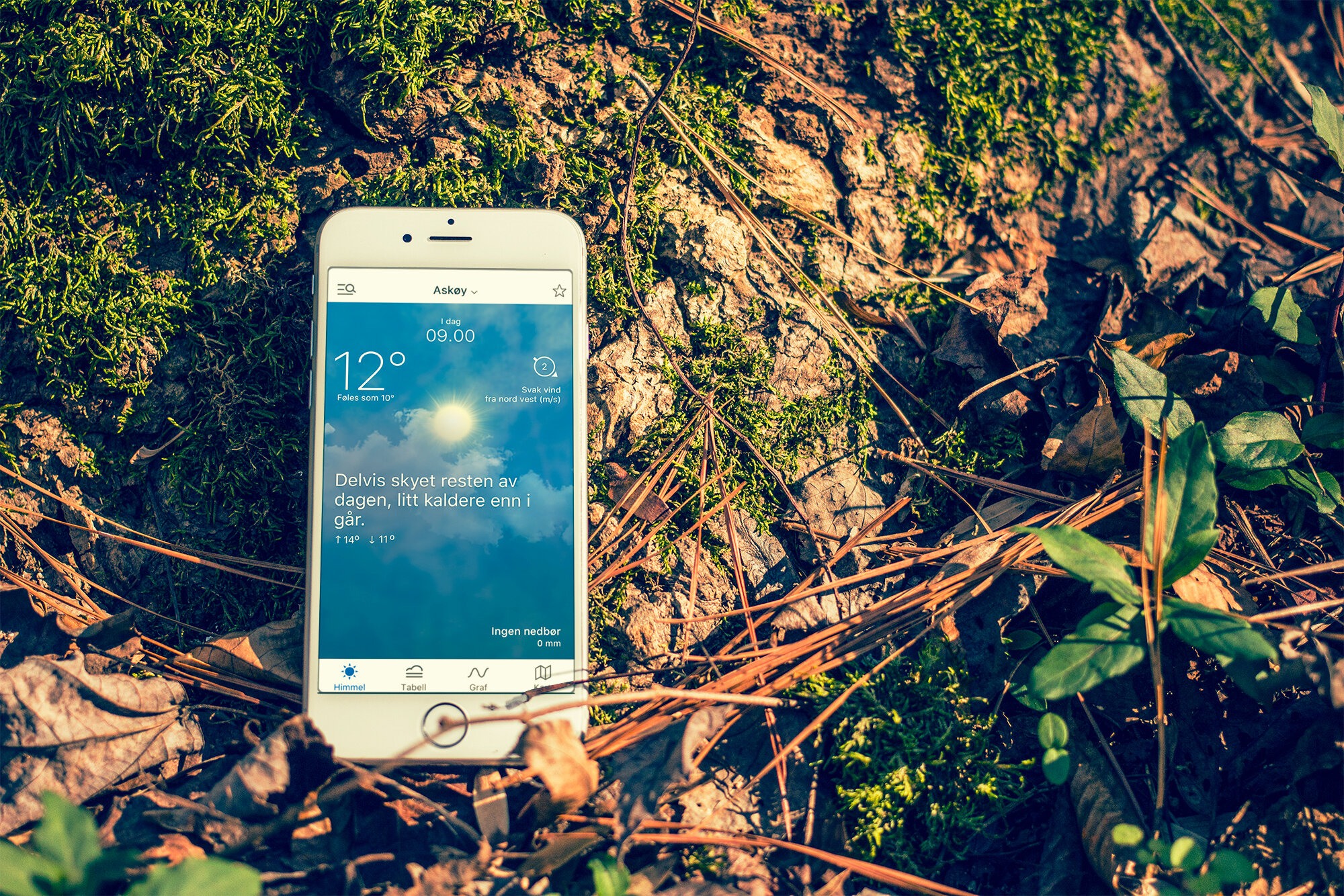 En smarttelefon med sanntidsvarsel om sol ligger på en skogbunn opplyst av sollys.