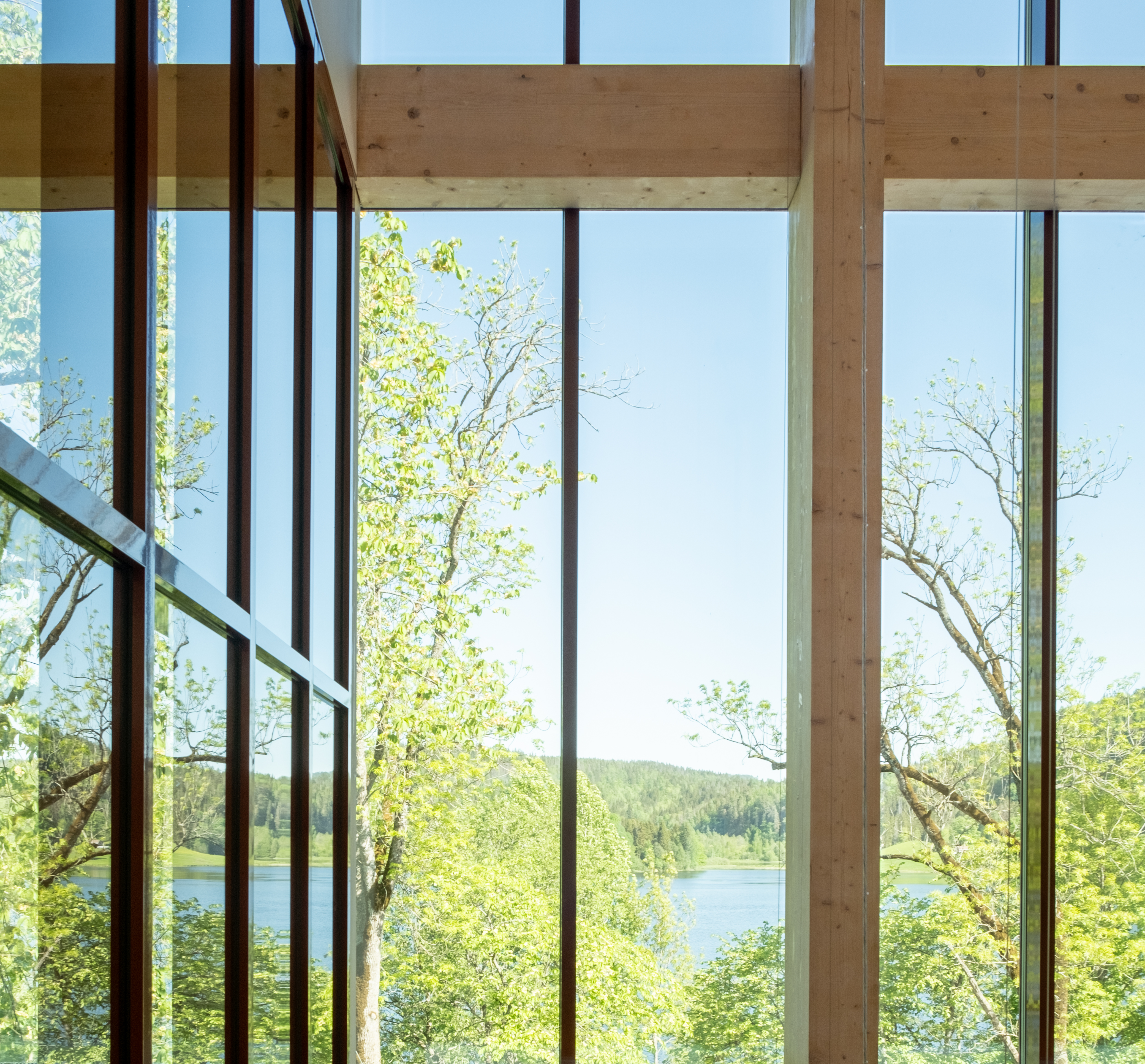 Utsyn mot grønne løvtrær og et vann fra et stort, åpent vindu.