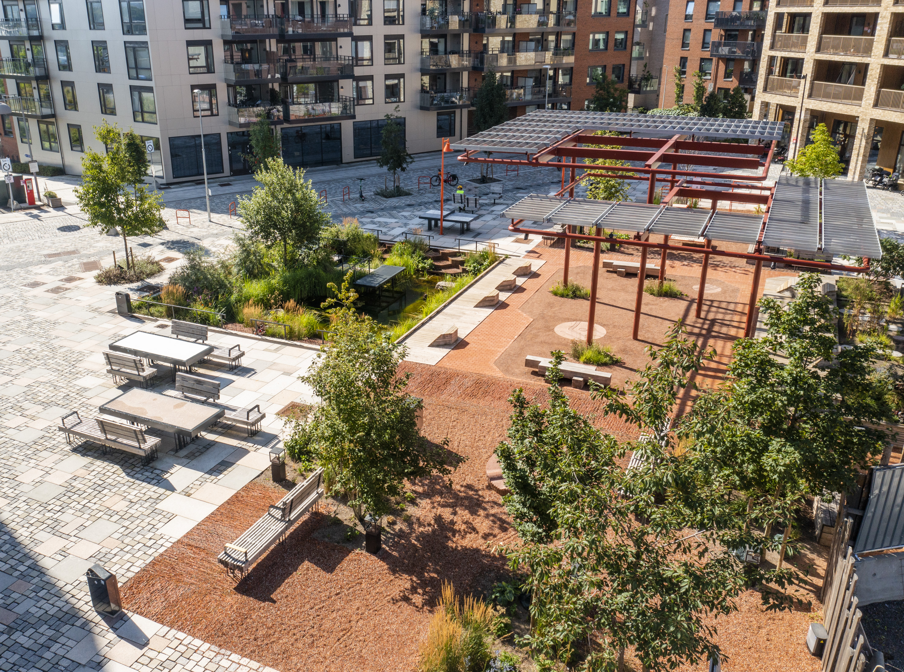 Nærbilder av strå foran en bypark med bygninger bak.