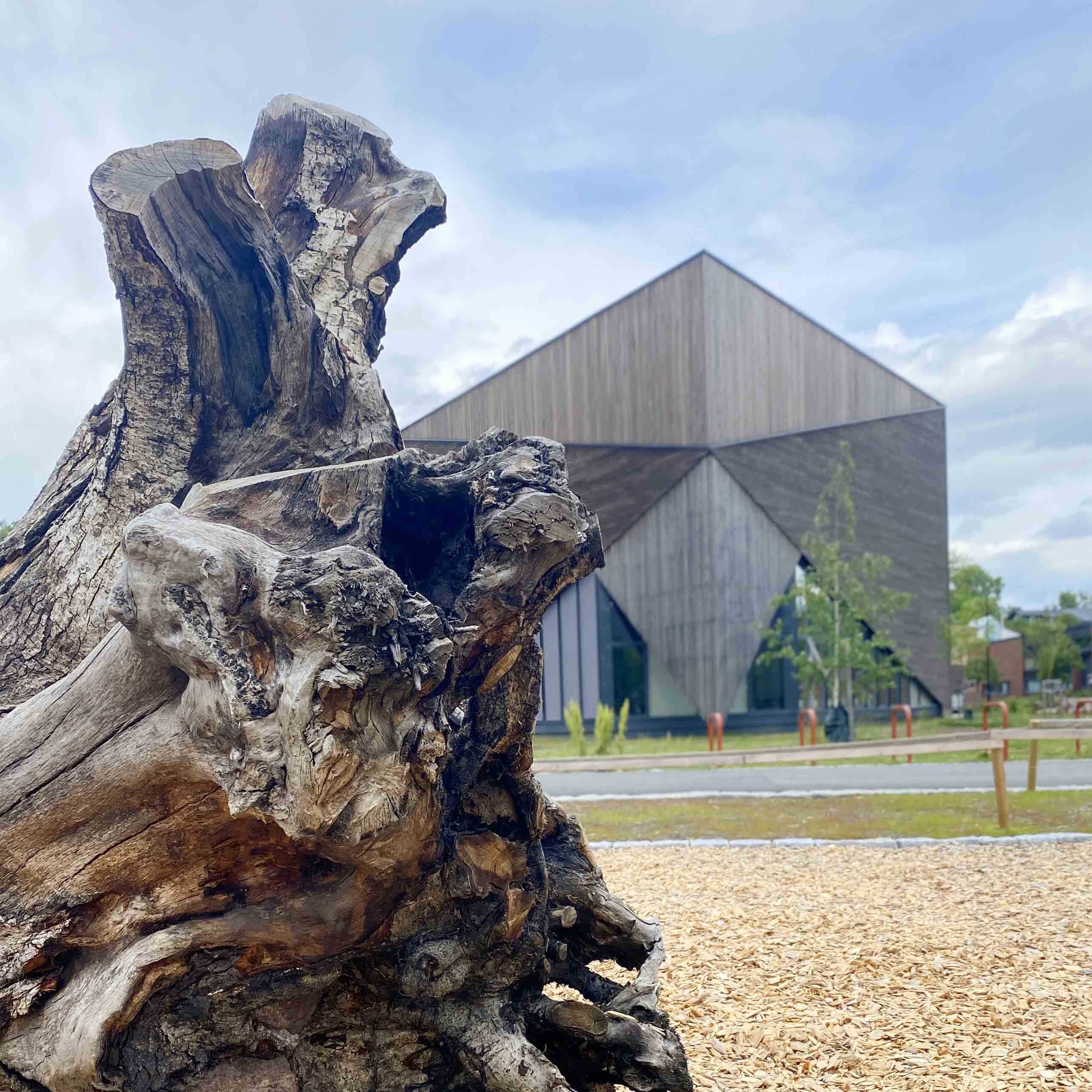 En stor trerot liggende foran en bygning.