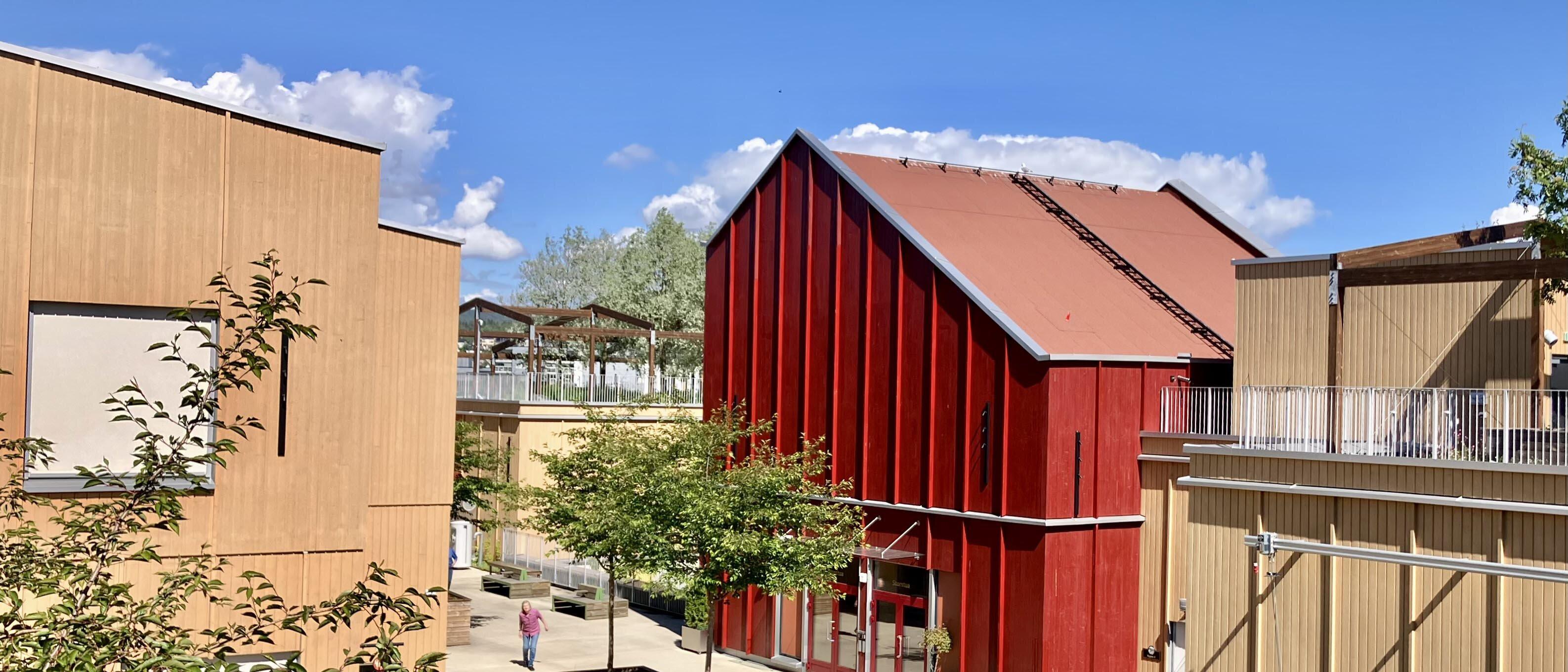 Hyggelig, fargerikt boligområde med grønne vekster under en blå himmel.