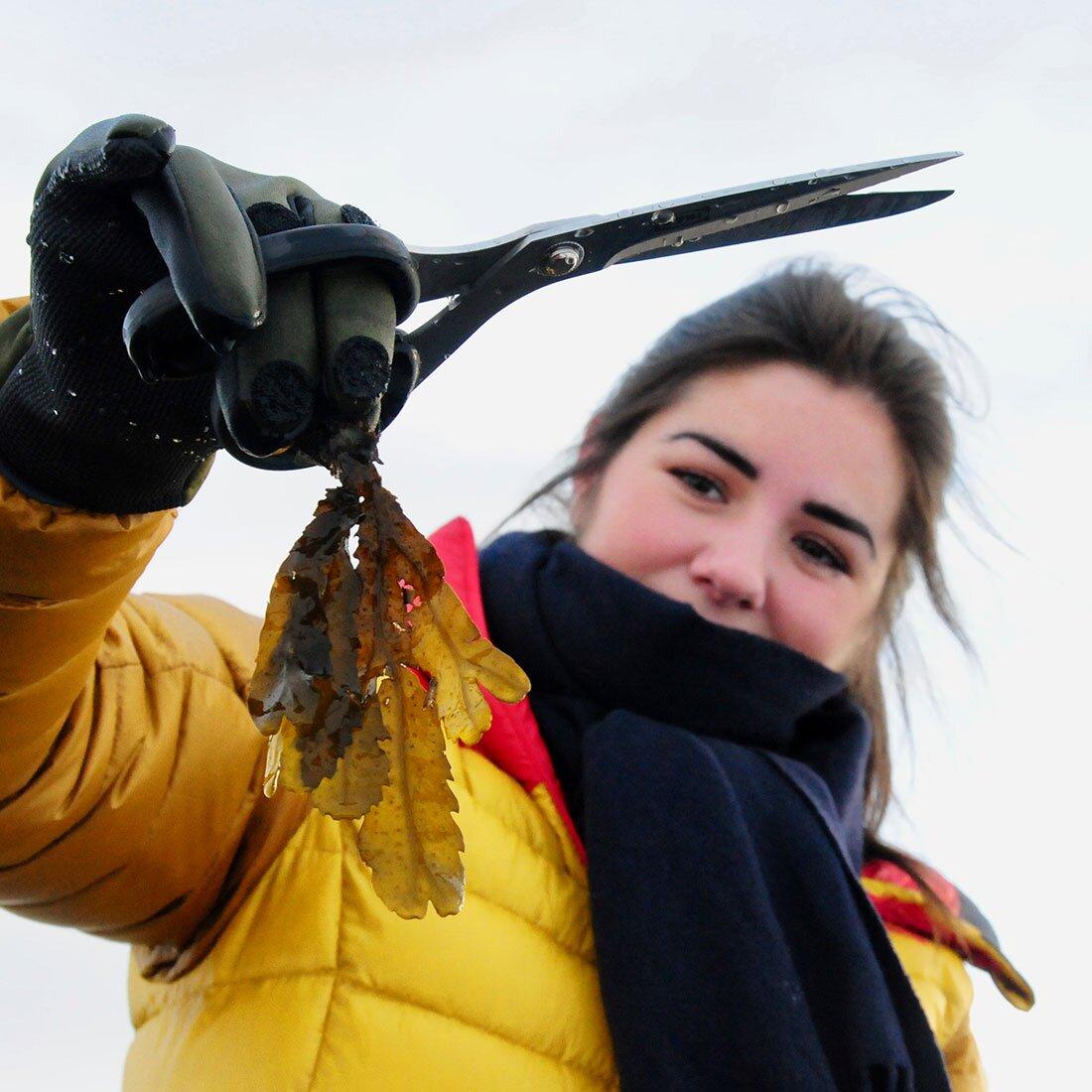 En ung kvinne holder en kvast med sagtang mot kamera. Hun har også en saks i hånden.