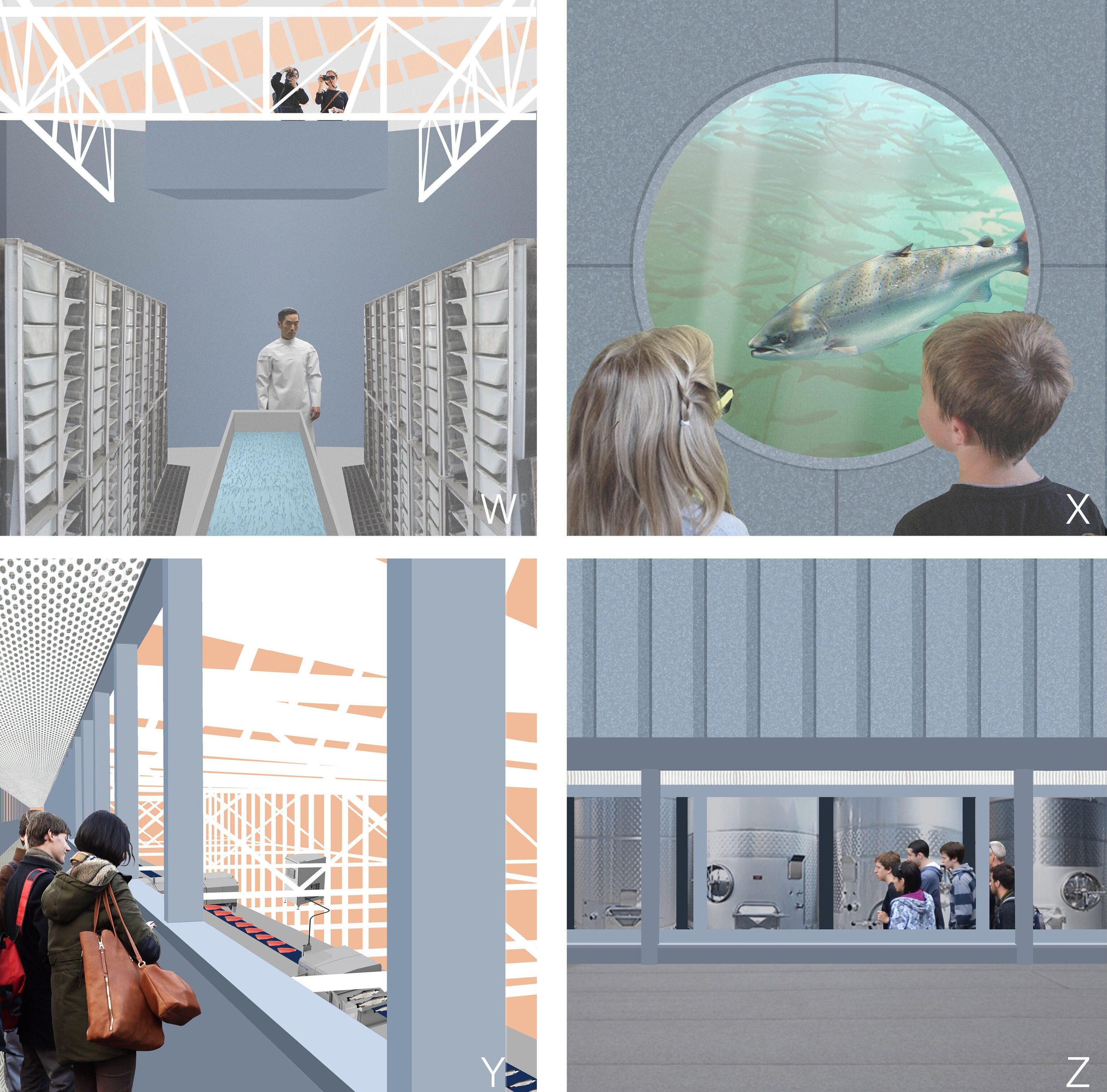 En montasje av fire bilder som viser skoleelever som er på besøk på anlegget og får se inn i produksjonen.