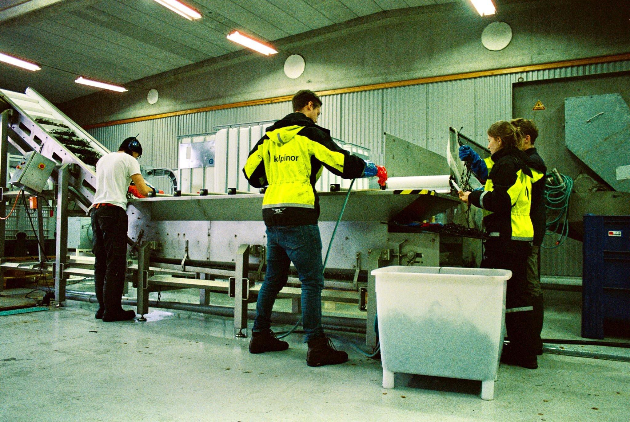 Fire personer ved et samlebånd med tang og tare inne i en fabrikkbygning.