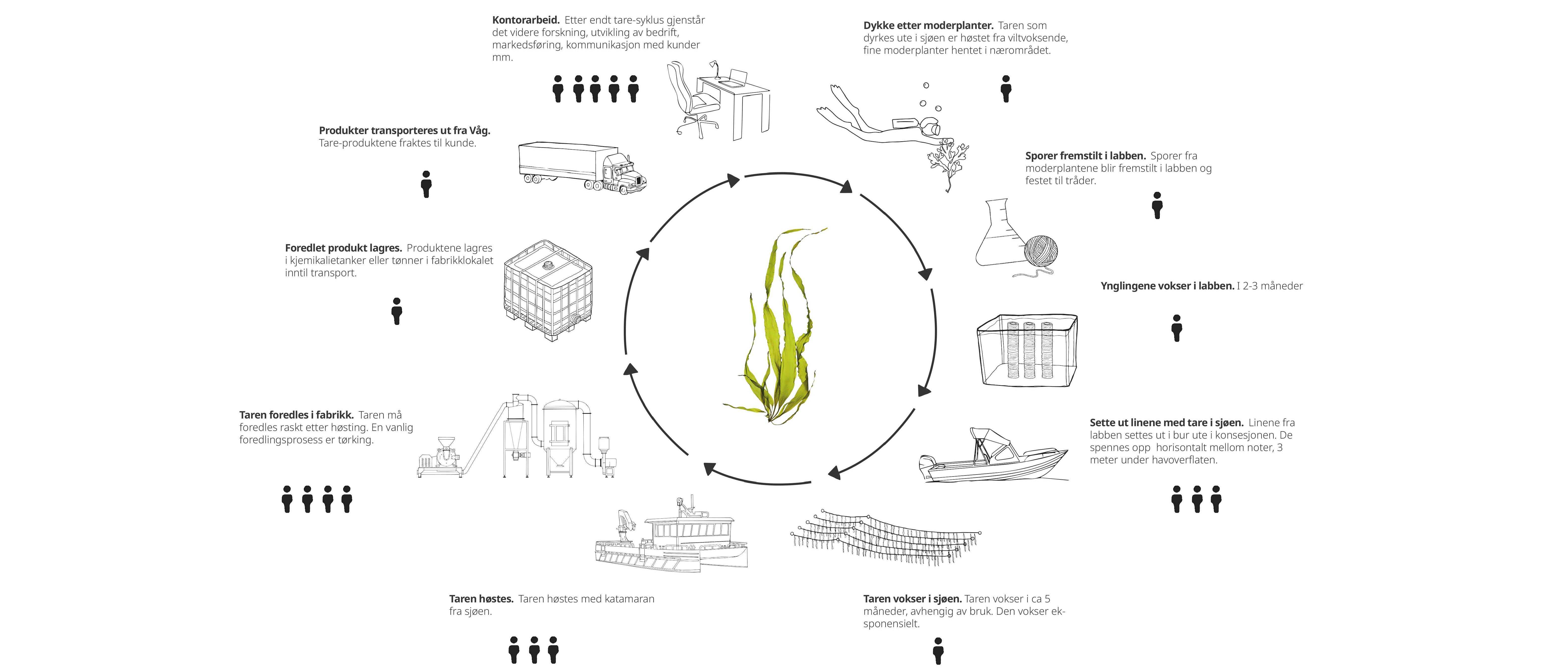 Illustrasjon fra masteroppgaven.