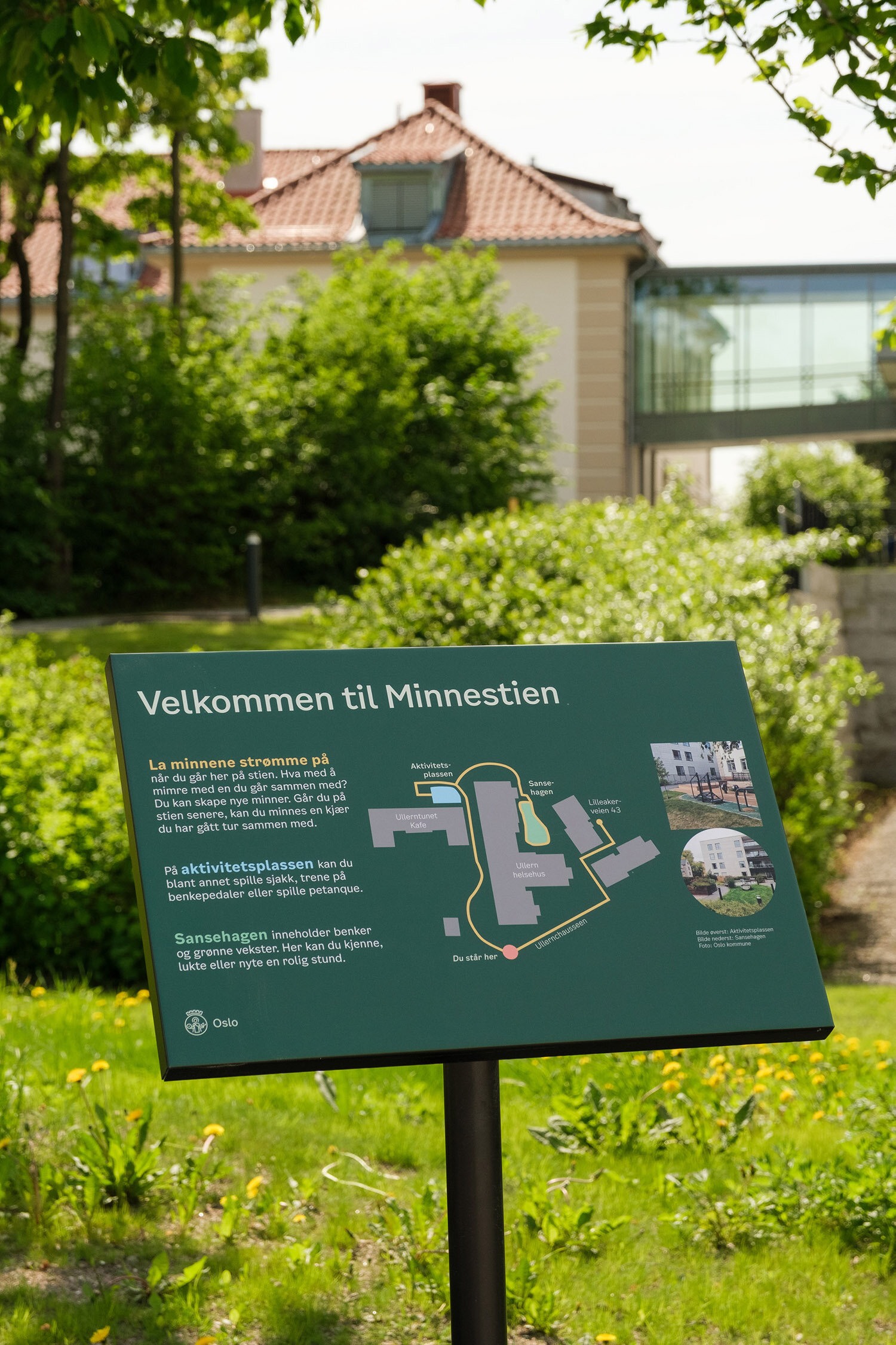 Grønt informasjonsskilt som står ute i en hage.