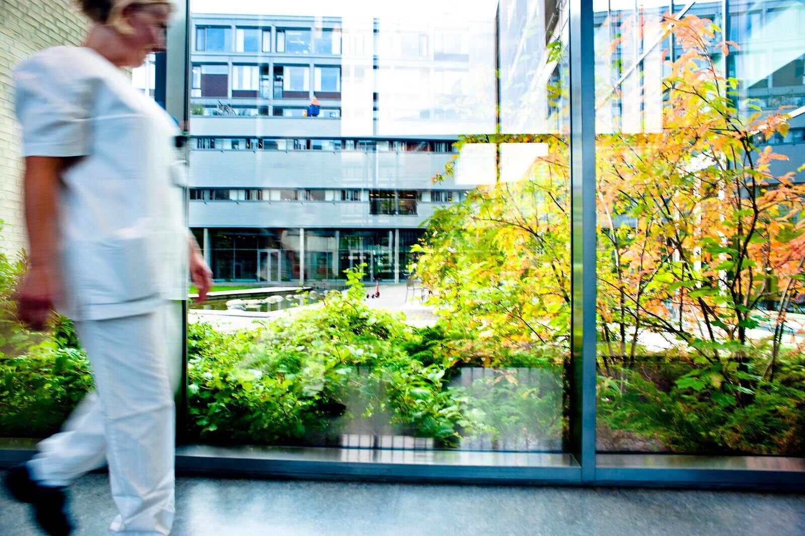 Bildet tatt fra innsiden av et bygg, med utsyn gjennom to store vinduer. Vi ser frodig beplantning inntil vinduet, og flere sykehusbygg på motsatt side av plassen. En sykepleier i fart ses til venstre i bildet, utenfor fokus.