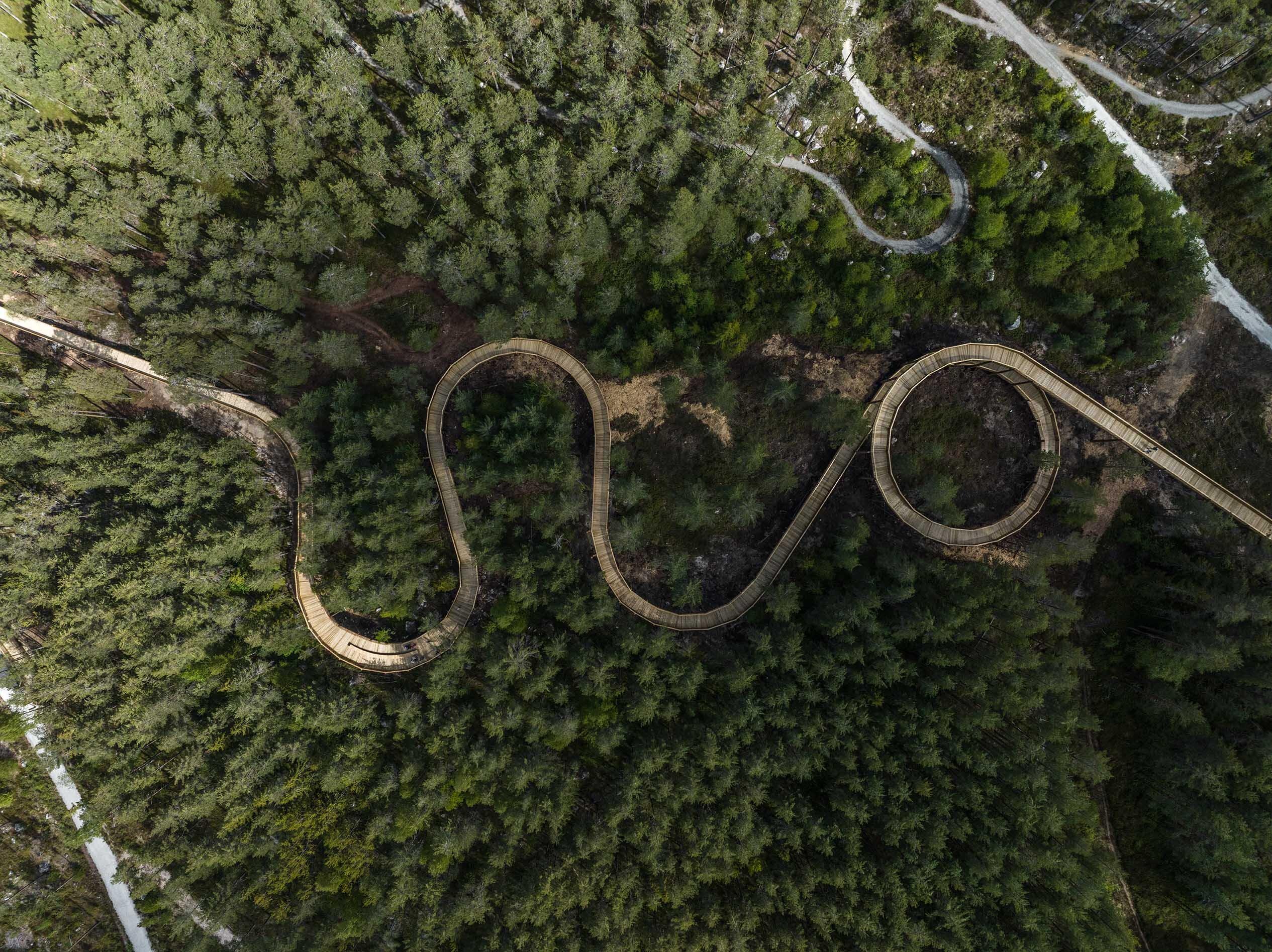 Skog med gangvei gjennom, sett overfra. Dronefoto.