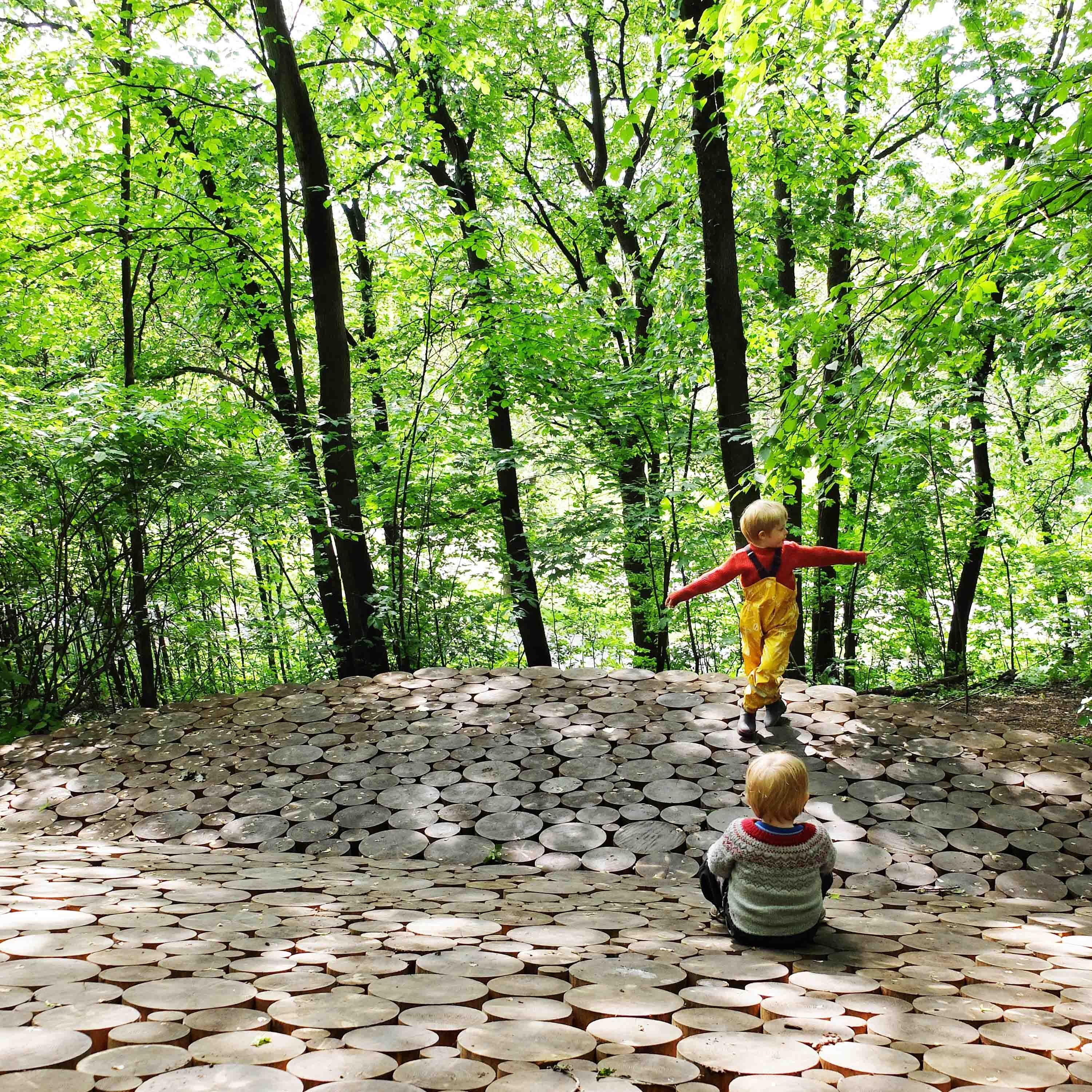 To barn leker på et underlag av stubber mellom grønne trær.