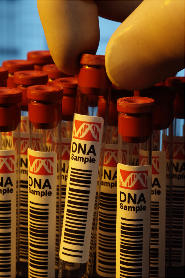 47 Years After His Death Sentence, Florida Court Orders DNA Testing for ...