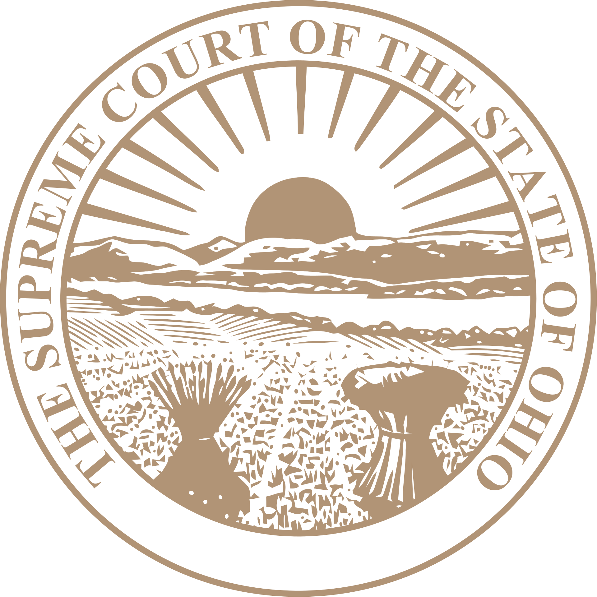 Ohio Supreme Court Rules Against Death-Row Prisoners in Administrative Challenge to Lethal-Injection Process