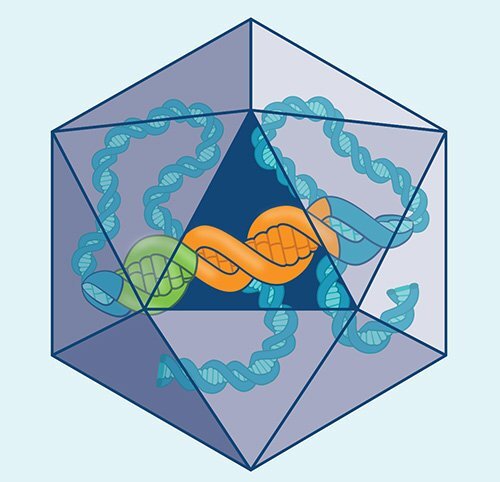 UQ Med Ed In GEN Euity Science Hemophilia R1