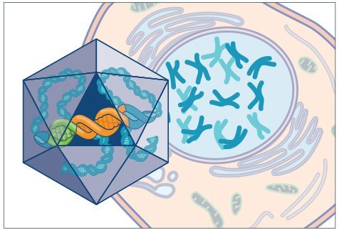 UQ Med Ed In GEN Euity Science Generic Euk Cell