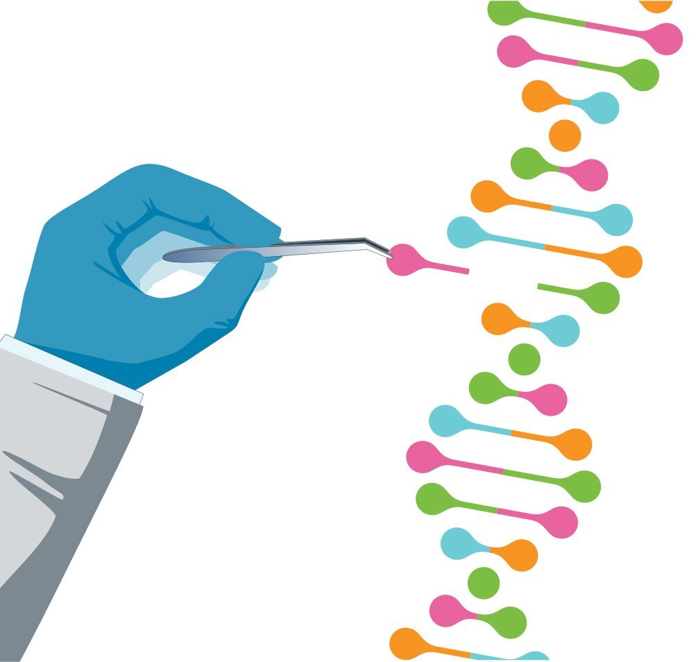 UQ Med Ed In GEN Euity Science Genetic engineering