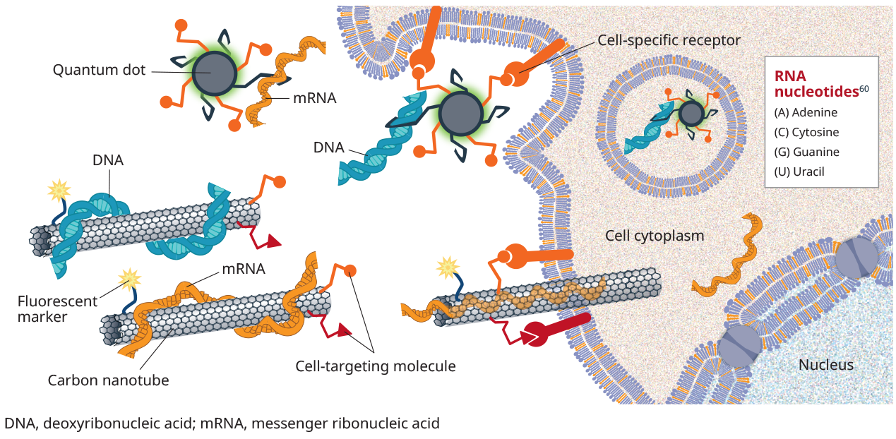 UQ Med Ed In GEN Euity Science Nano based R2 072121