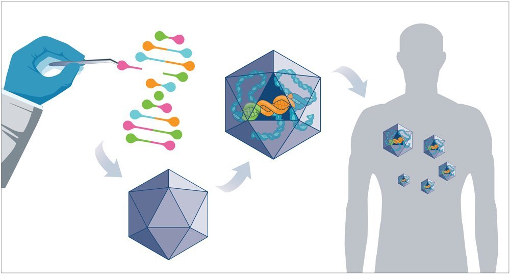 UQ Med Ed In GEN Euity Technology Administration technology