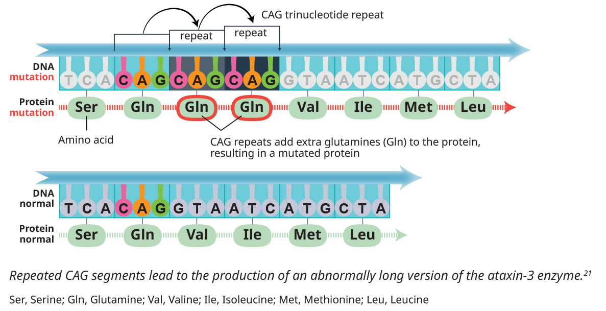 UQ Med Ed in GEN Euity Science Repeat expansion mutation SA3 R2 072121