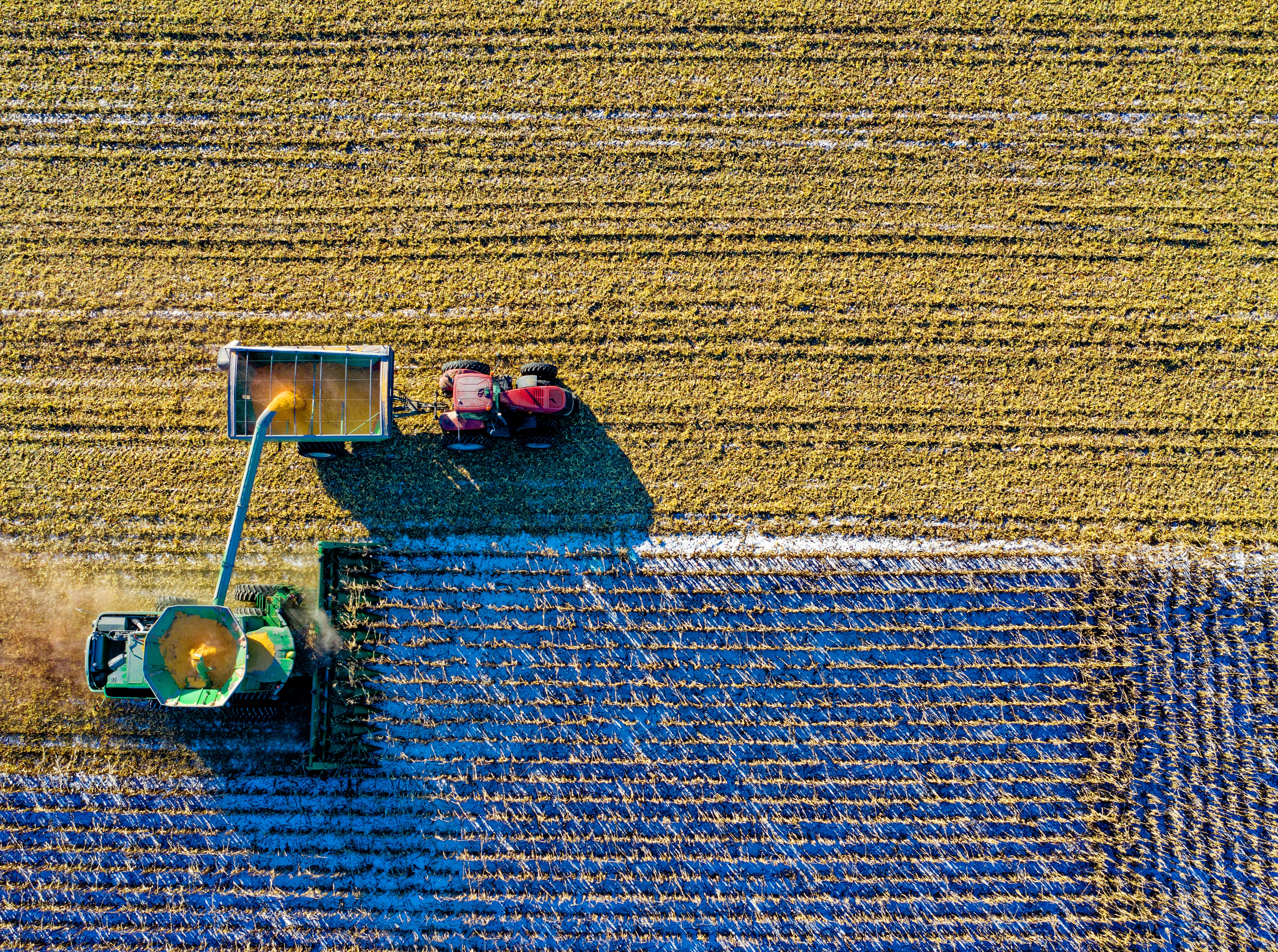 Aerial Shot Aerial View Agriculture 1595104